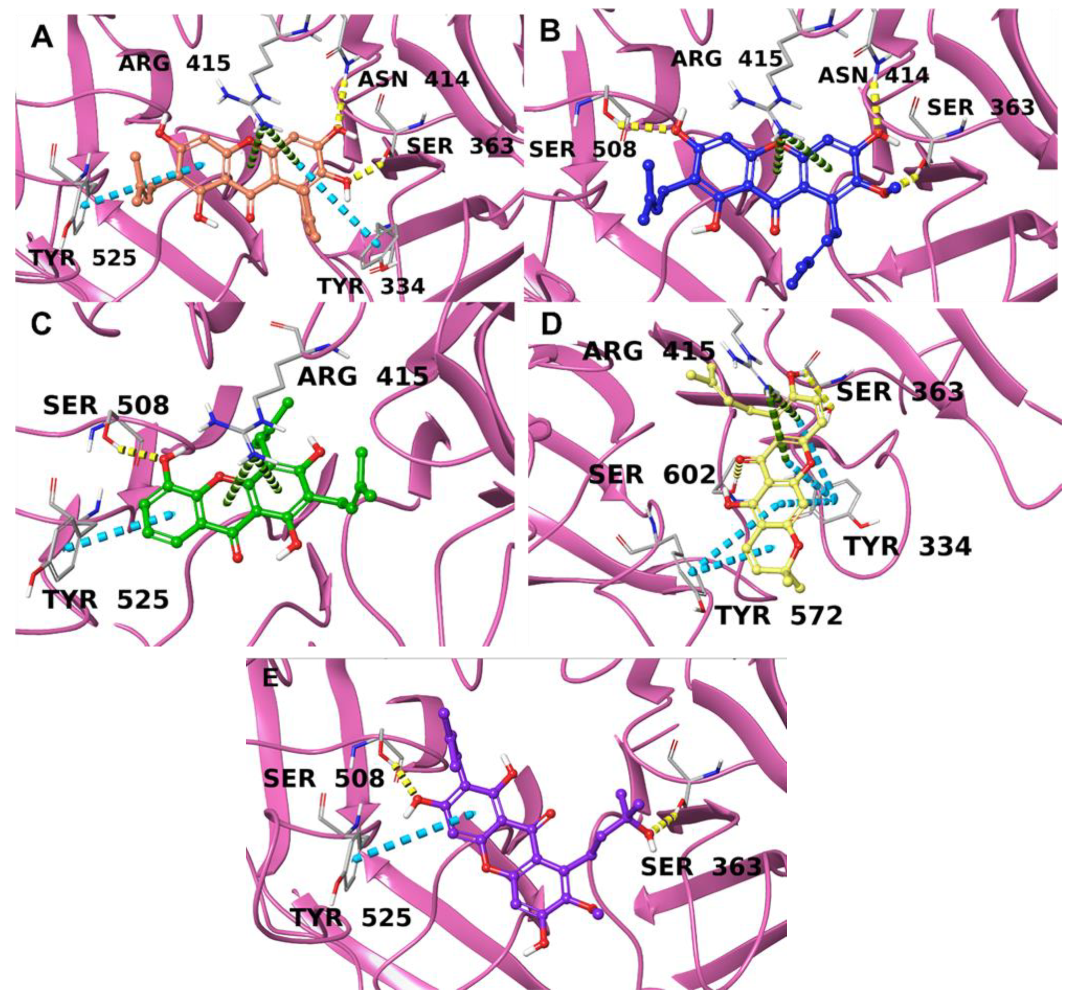 Antioxidants 12 01980 g002