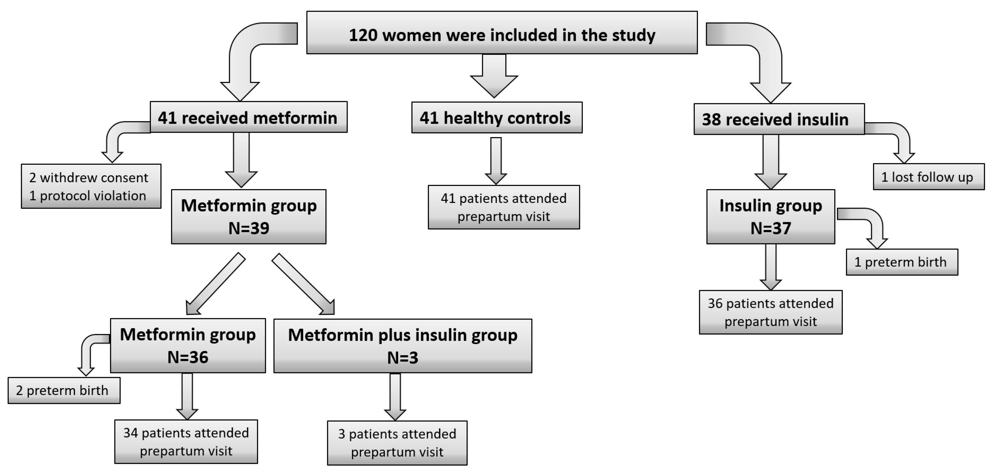 Antioxidants 12 01981 g001