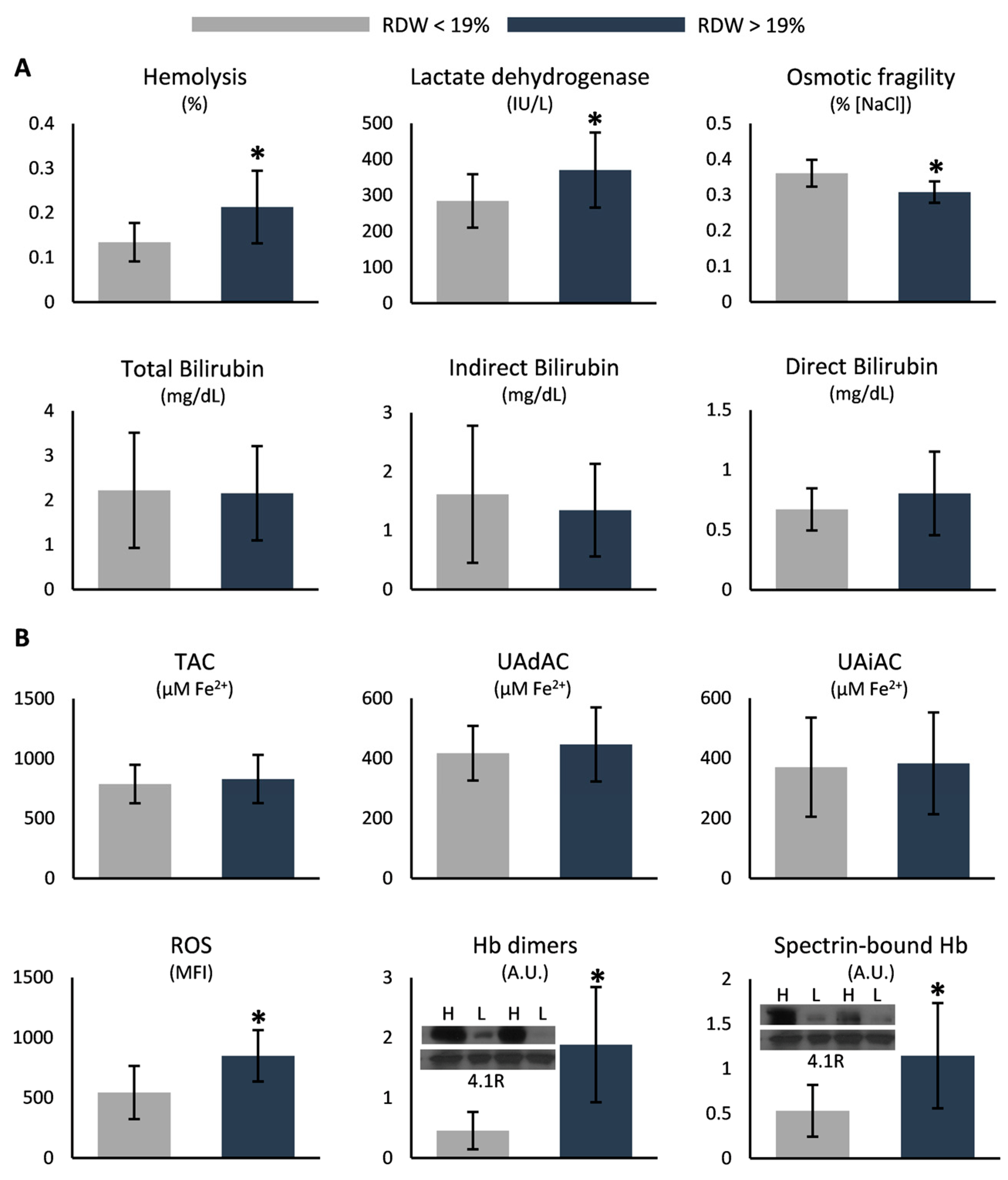 Antioxidants 12 01982 g002