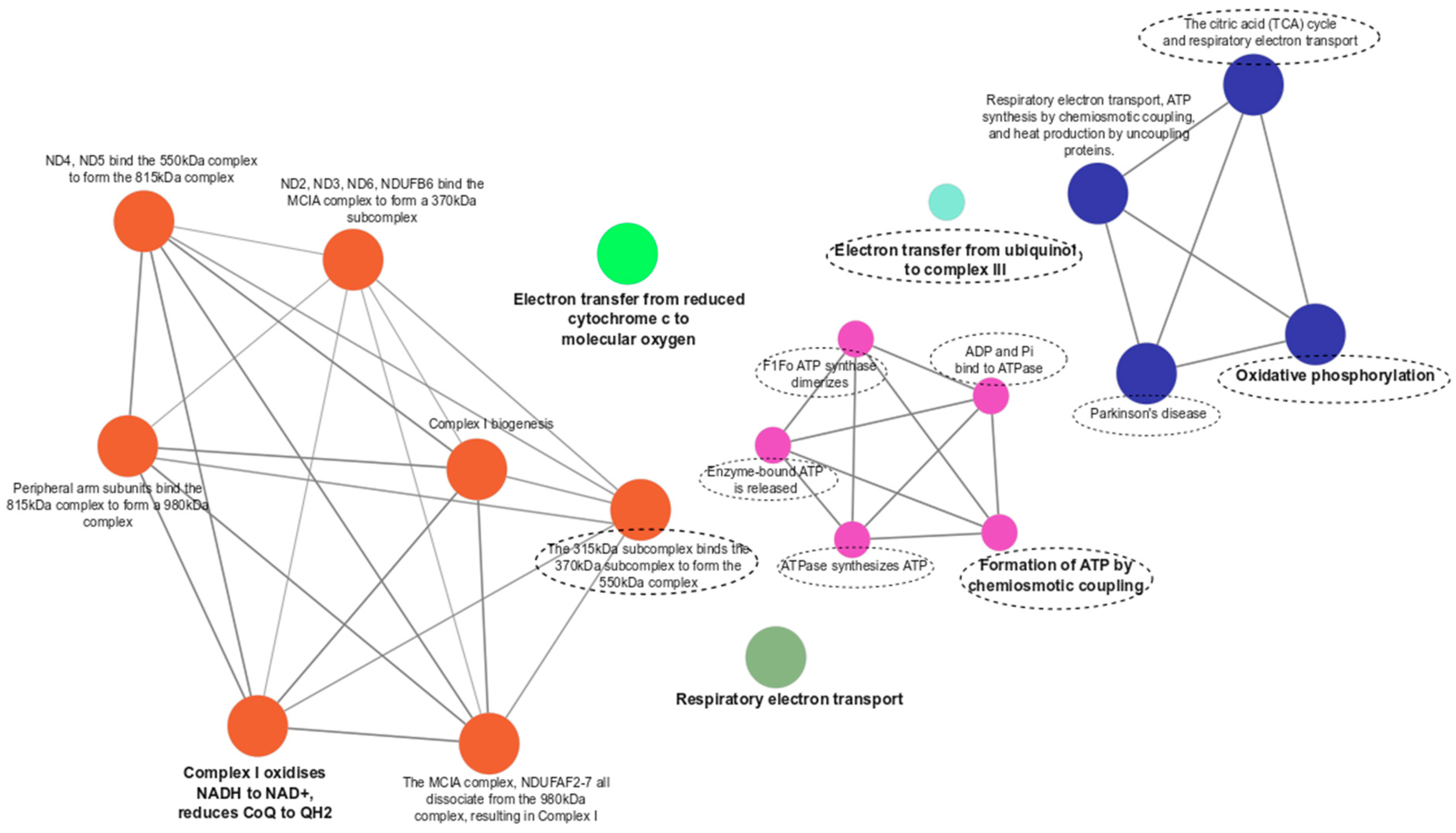 Antioxidants 12 01983 g002
