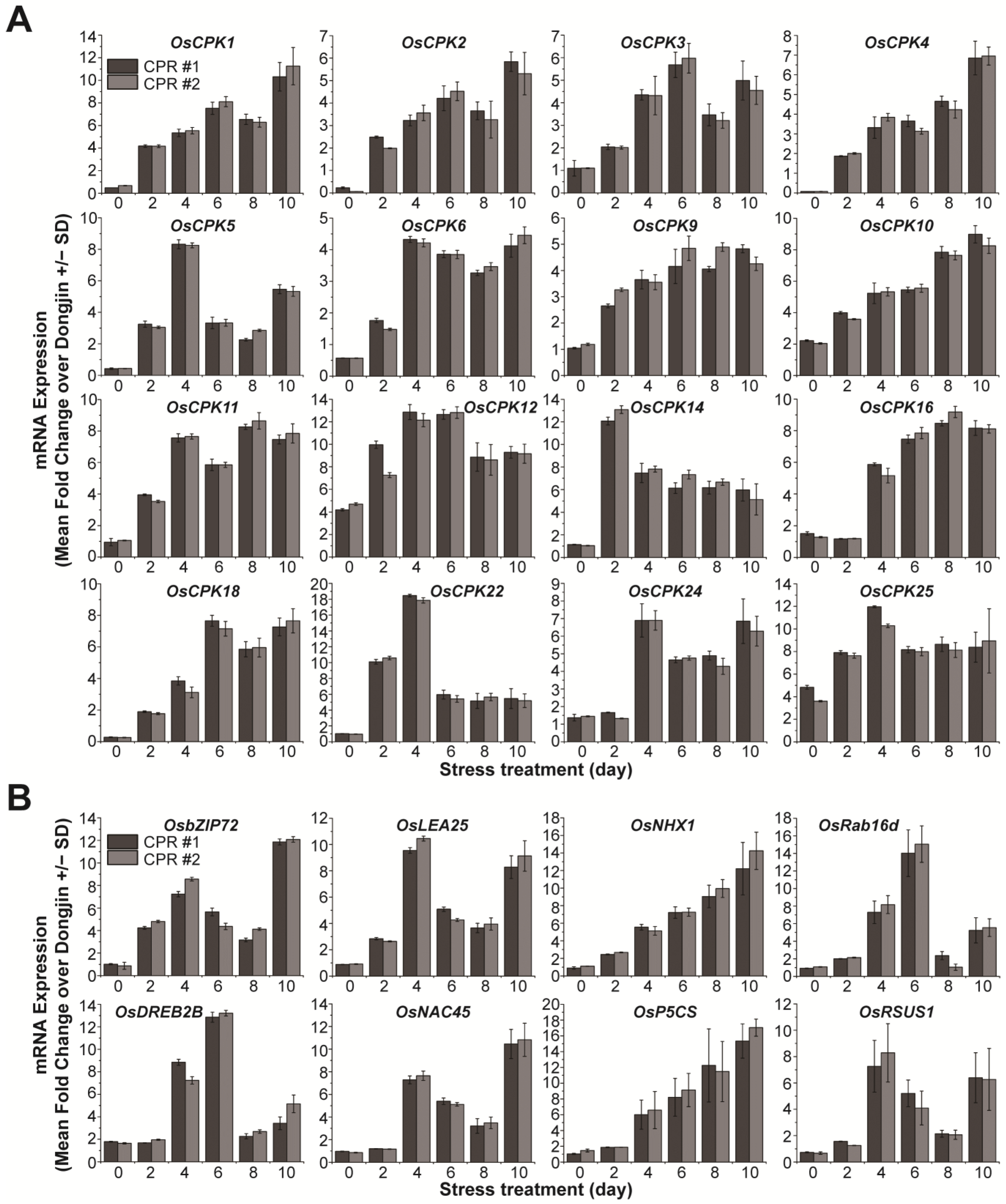 Antioxidants 12 01984 g003