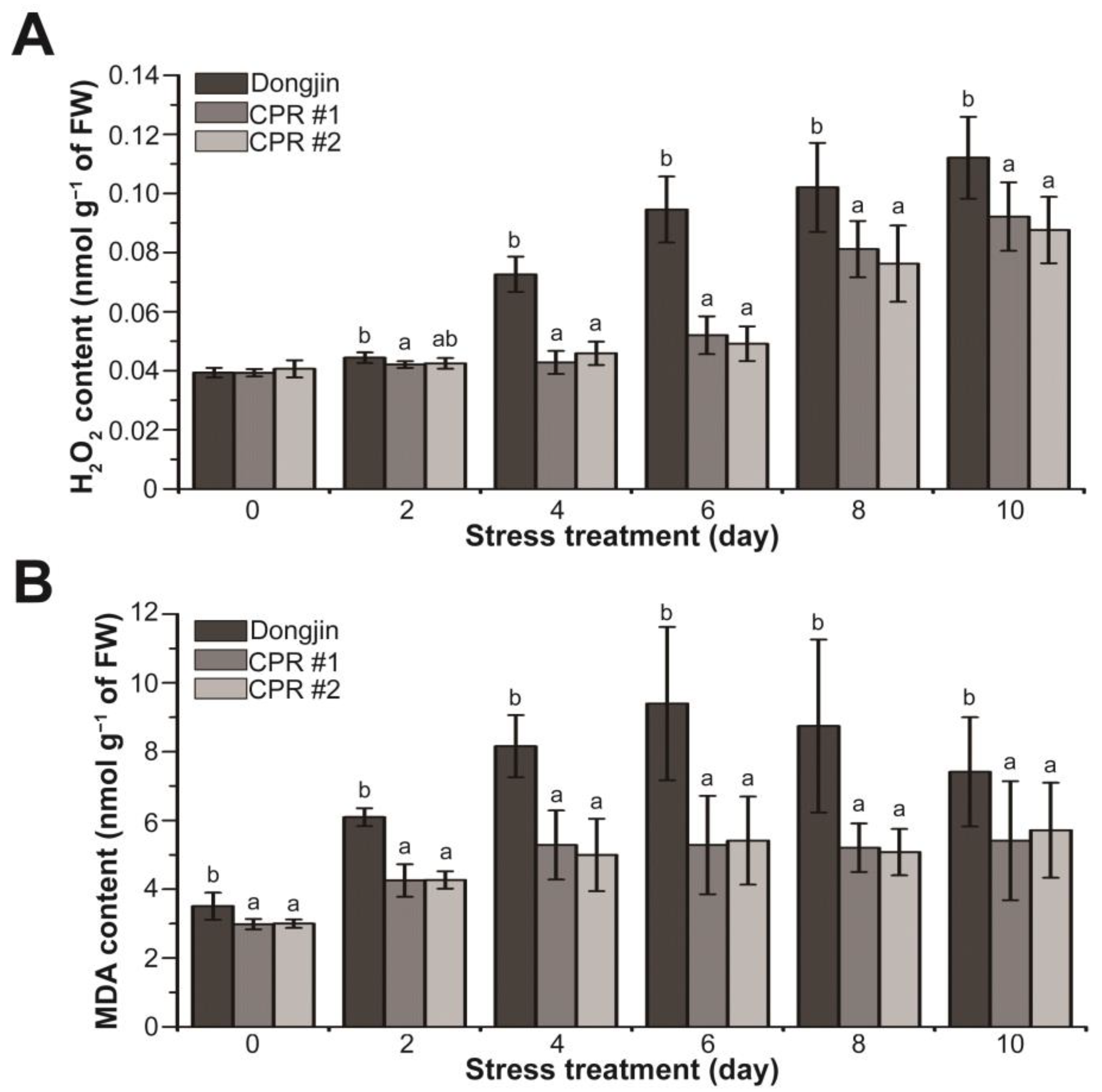 Antioxidants 12 01984 g004