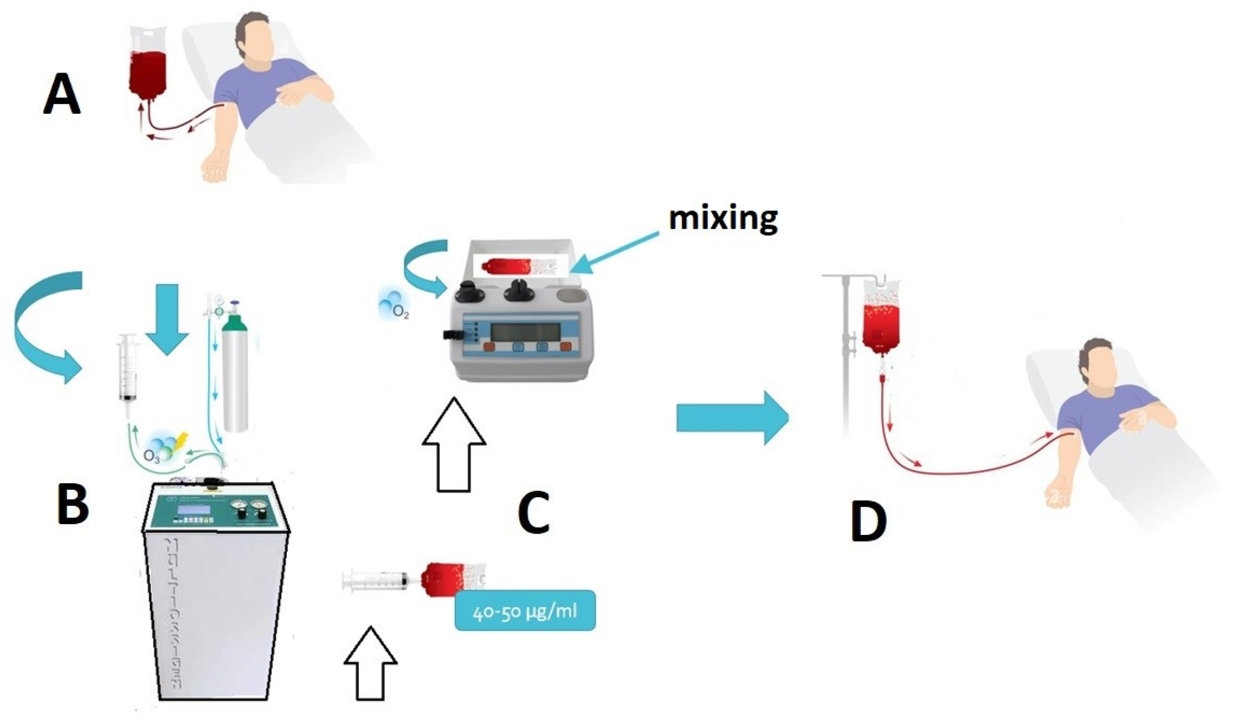 Antioxidants 12 01985 g002