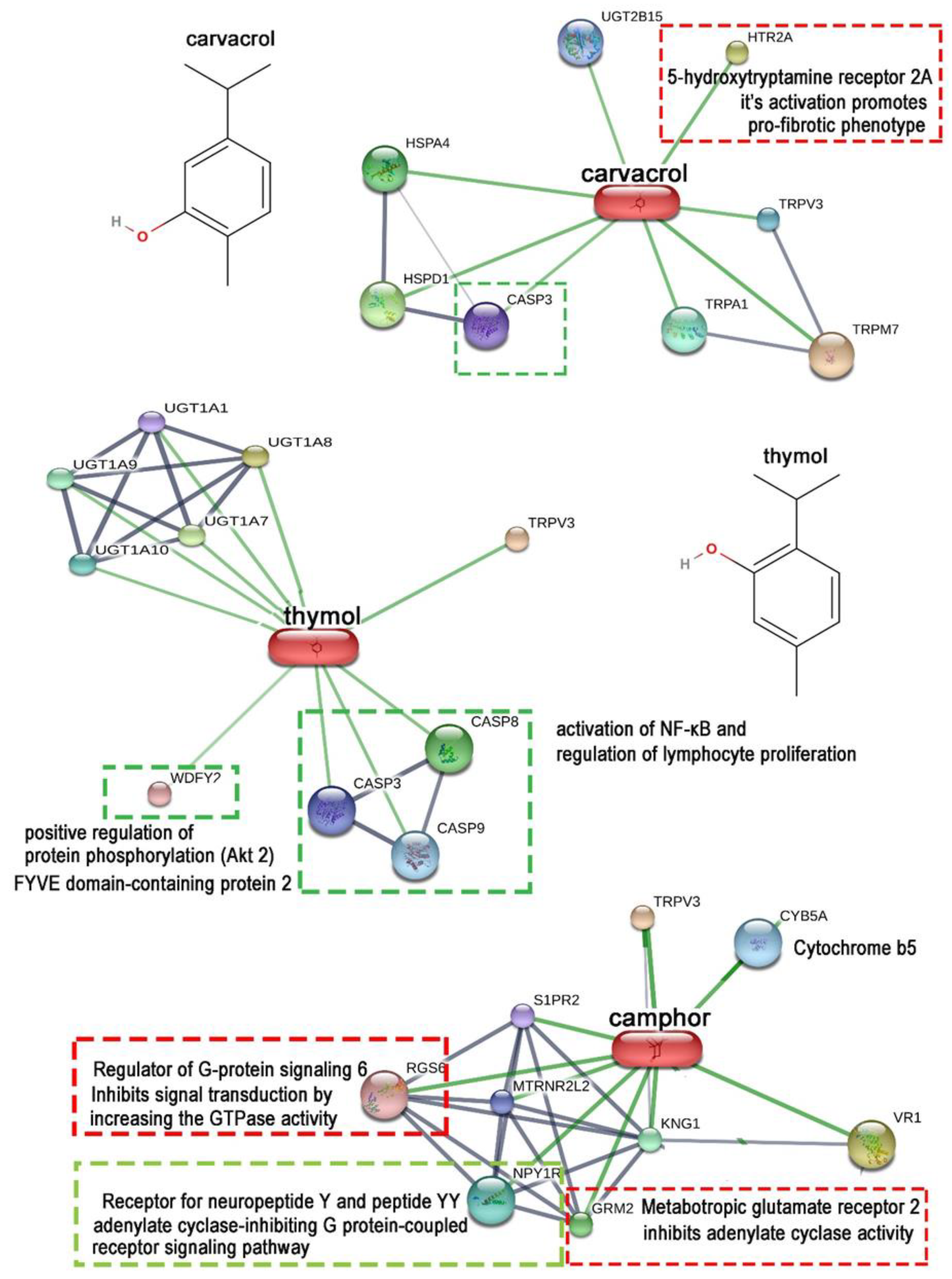 Antioxidants 12 01988 g005