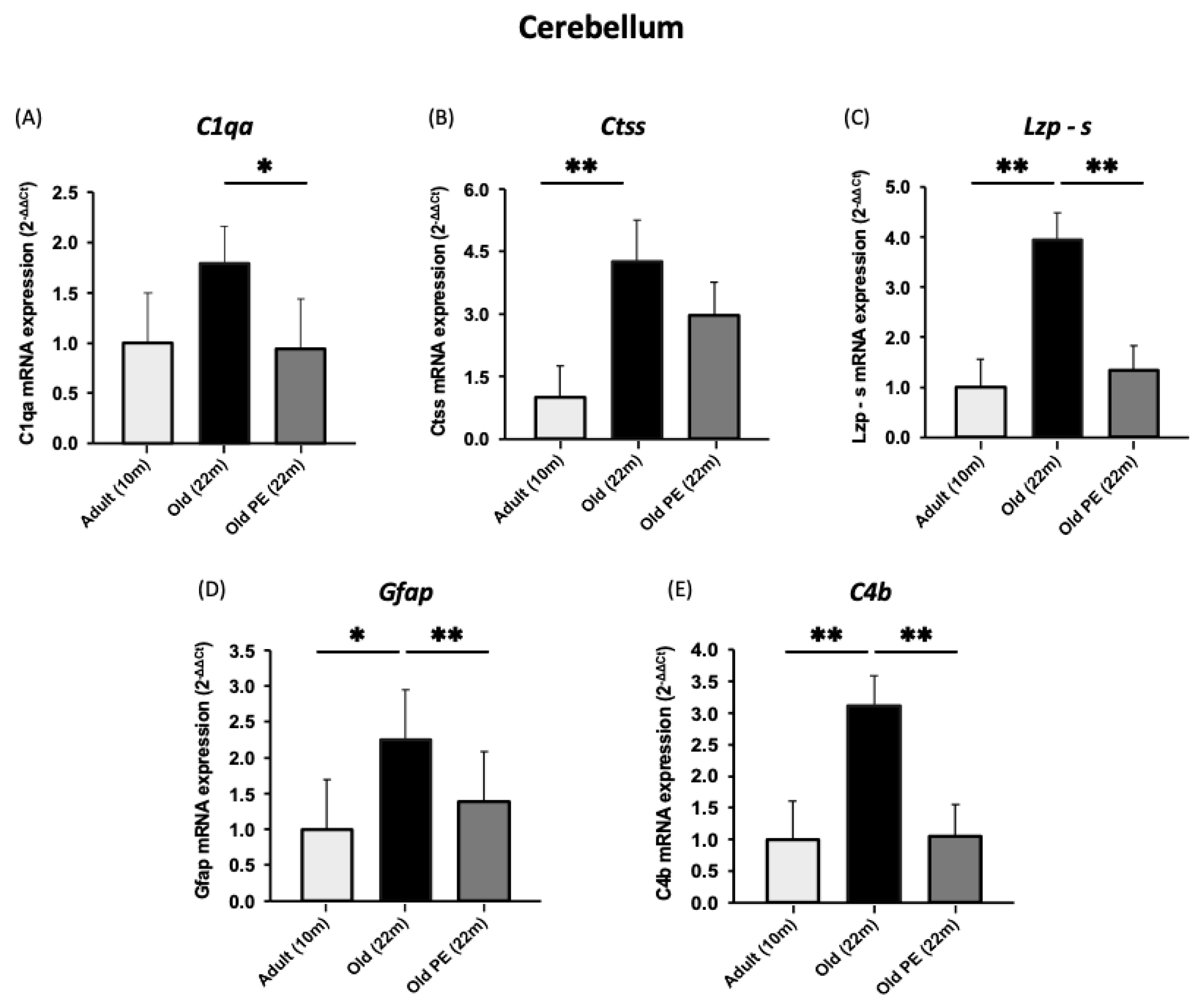 Antioxidants 12 01991 g005