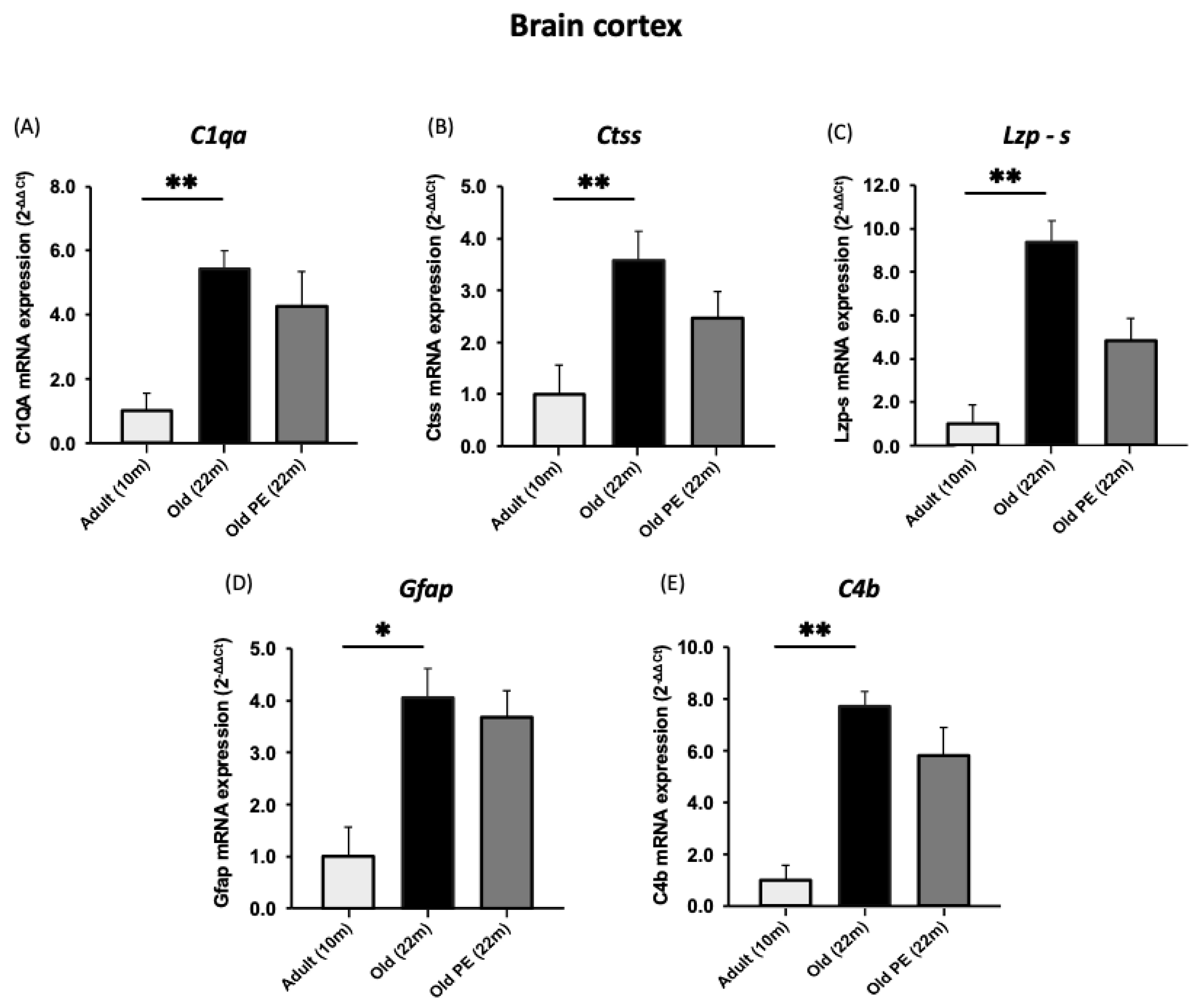 Antioxidants 12 01991 g006