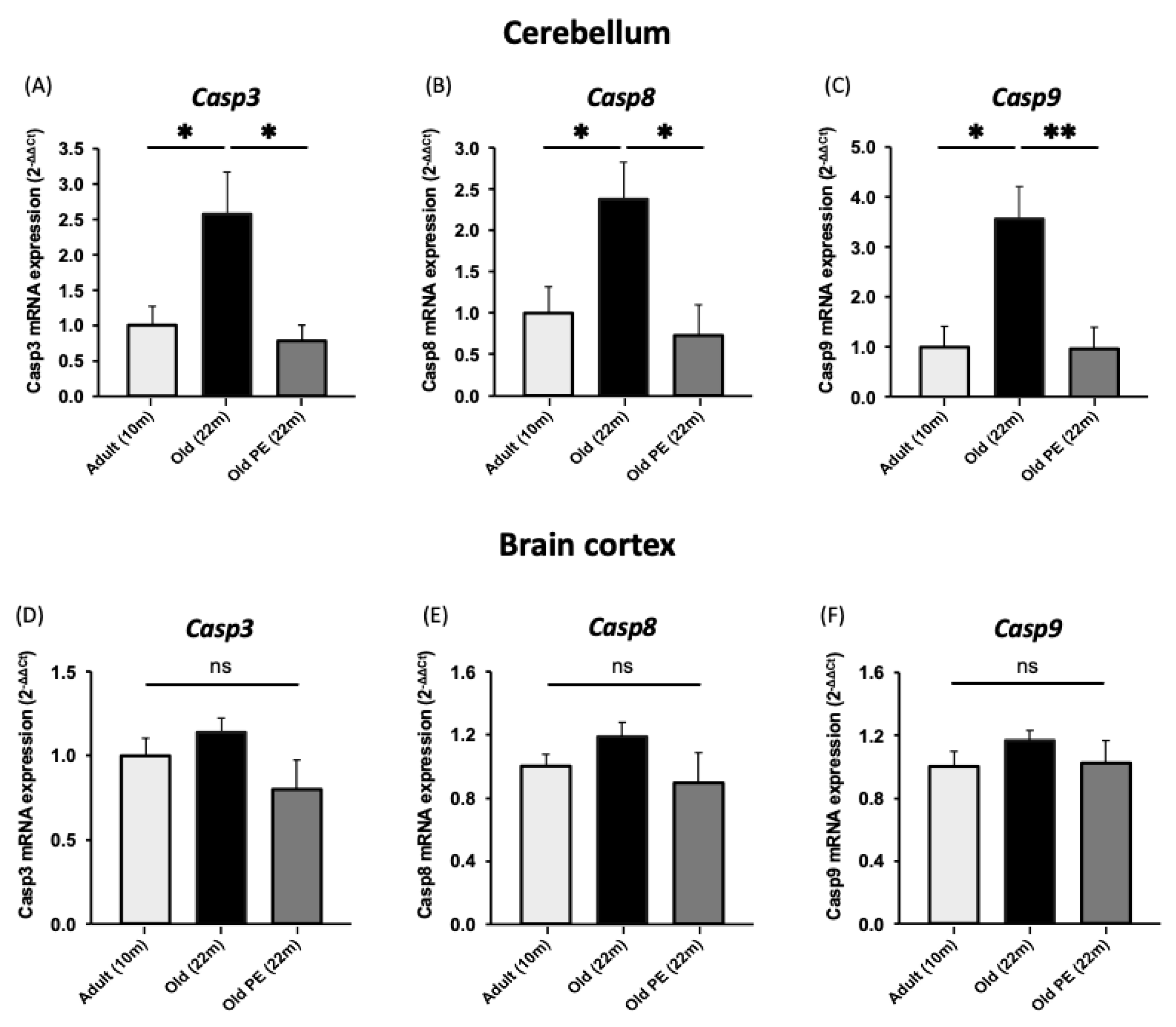 Antioxidants 12 01991 g009