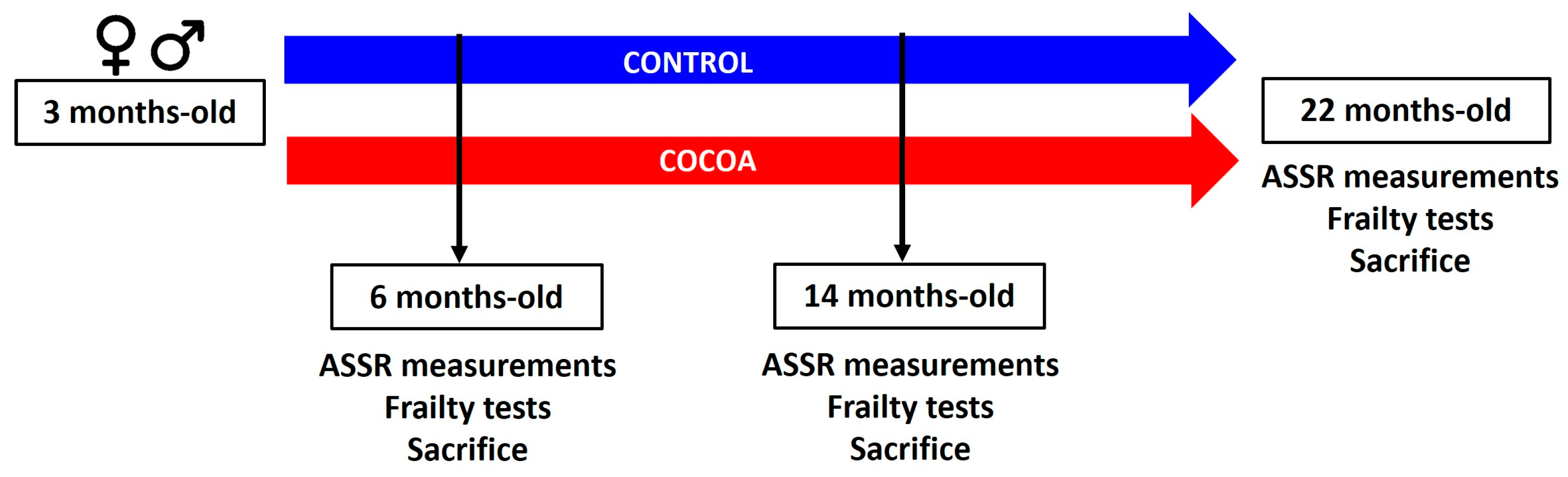 Antioxidants 12 01994 g001
