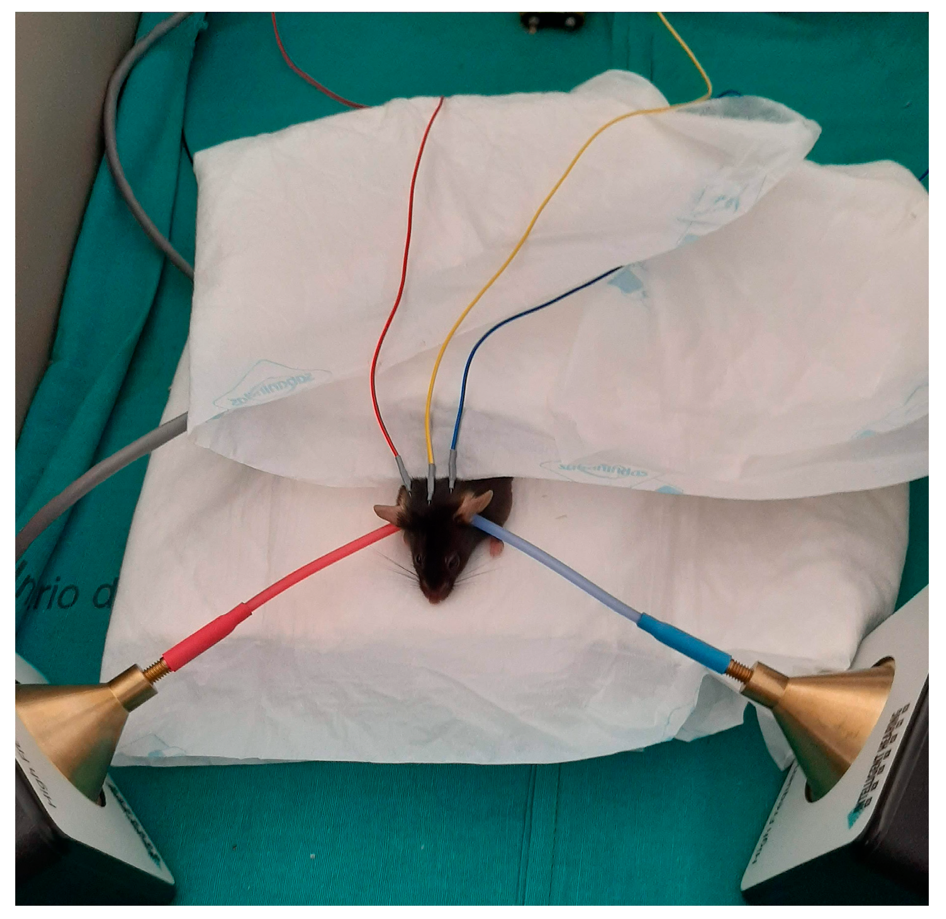 Antioxidants 12 01994 g002