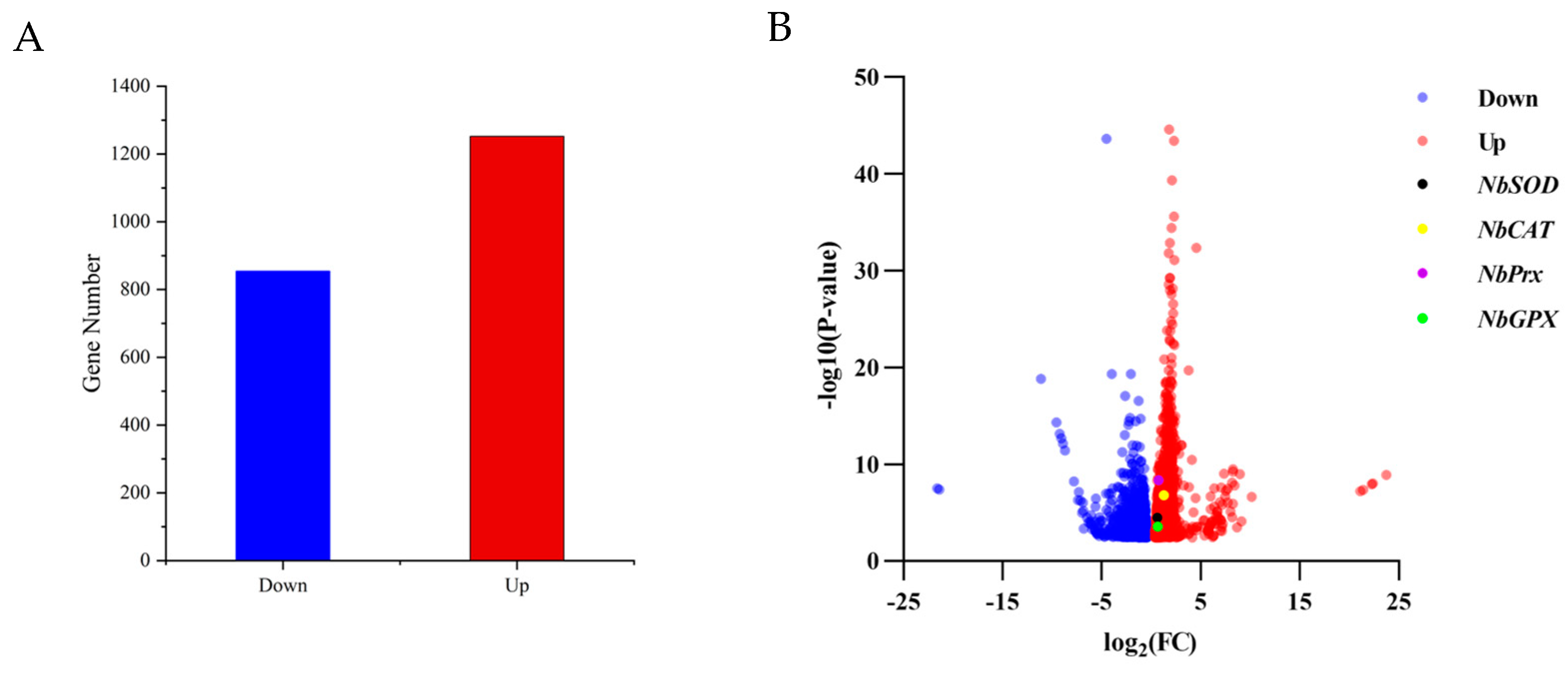 Antioxidants 12 01998 g001