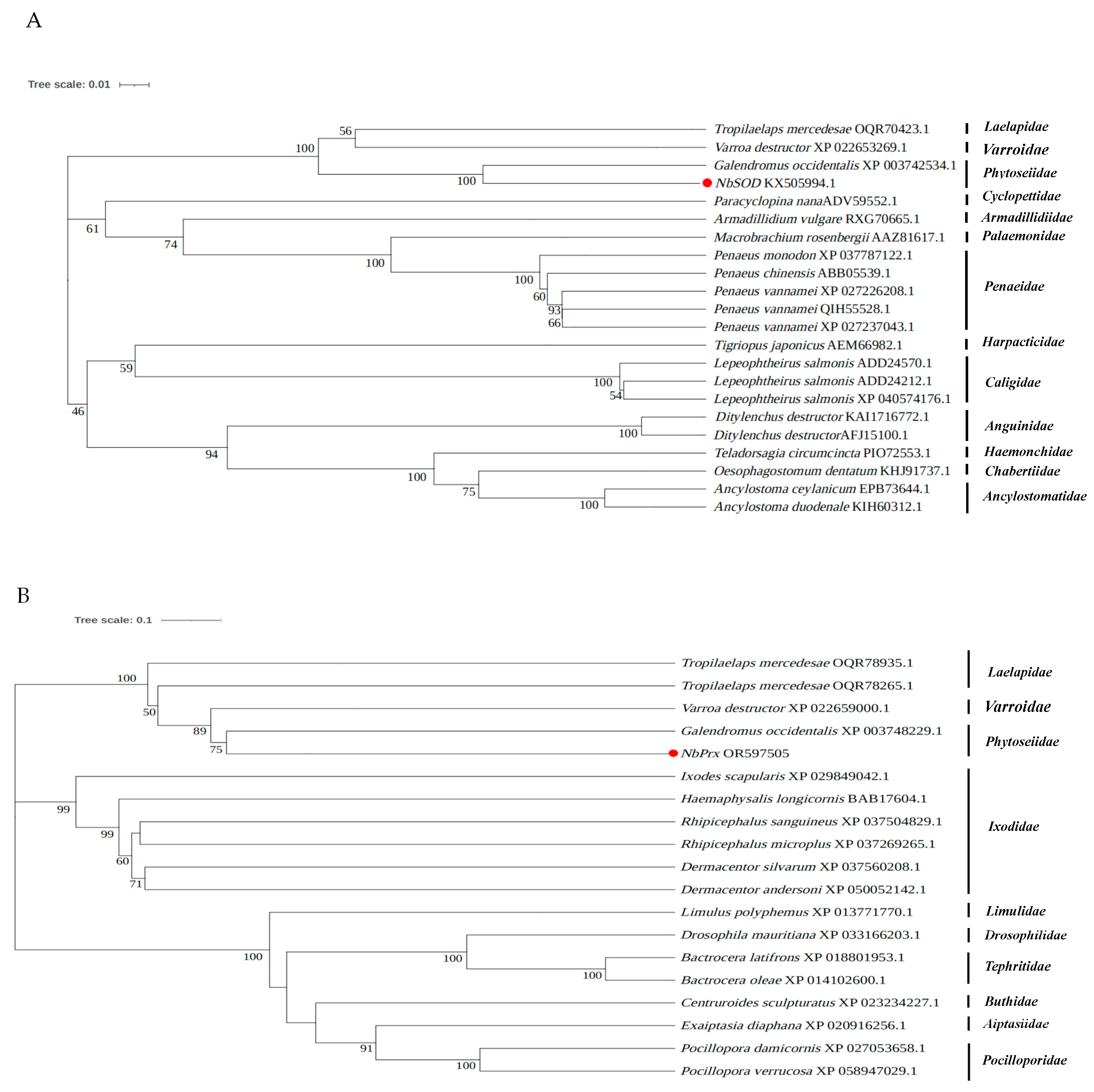 Antioxidants 12 01998 g004a