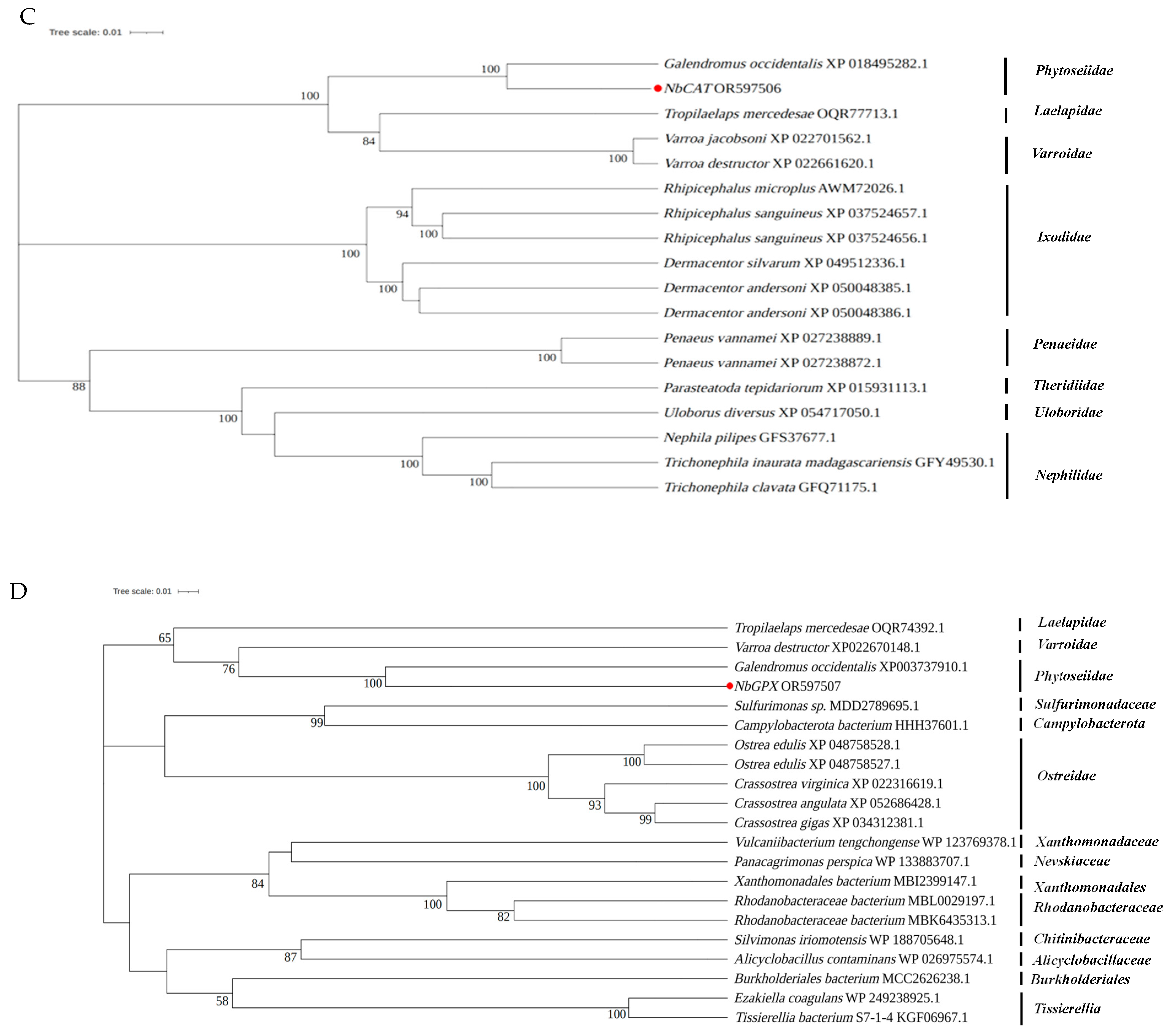 Antioxidants 12 01998 g004b
