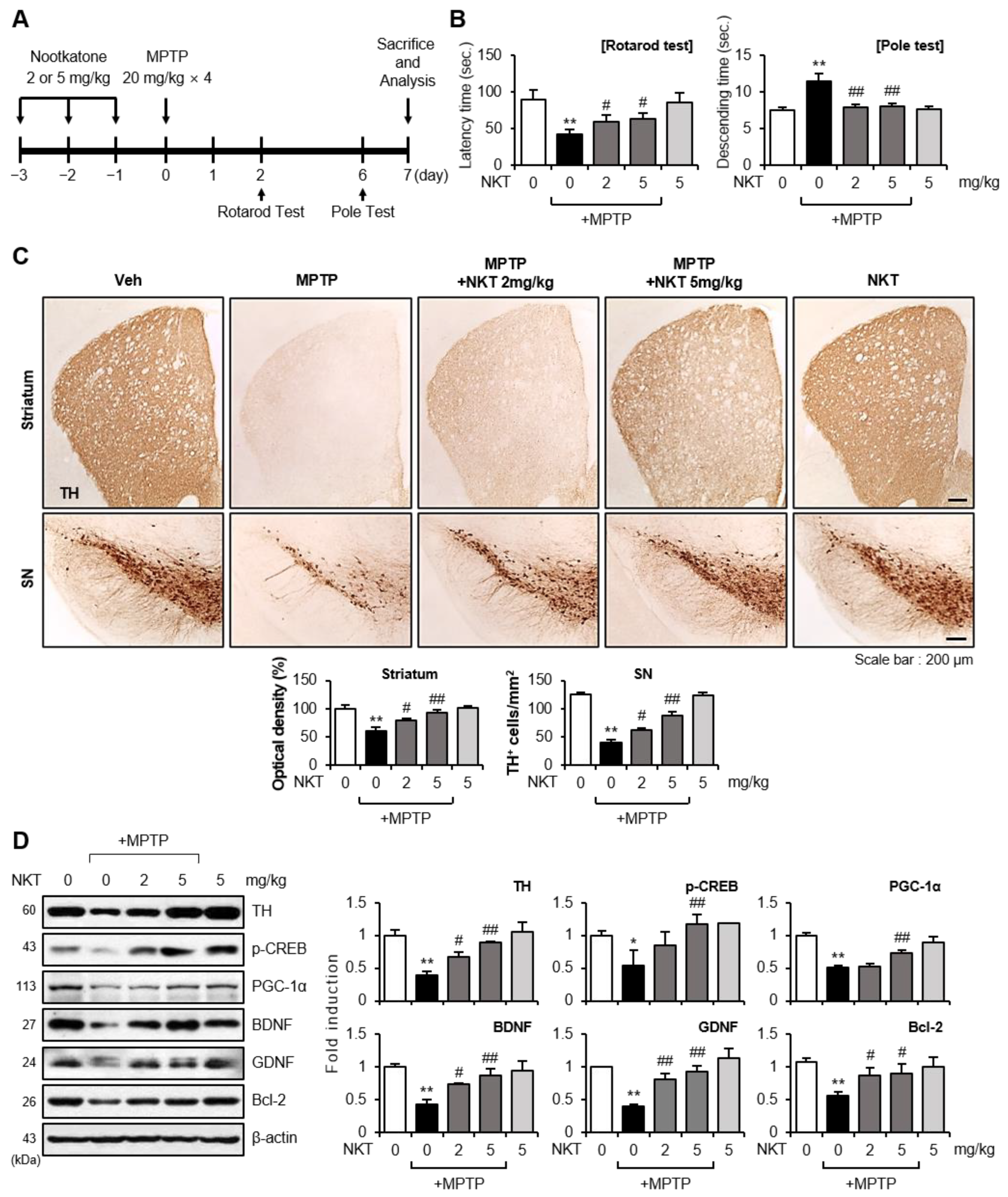 Antioxidants 12 01999 g001