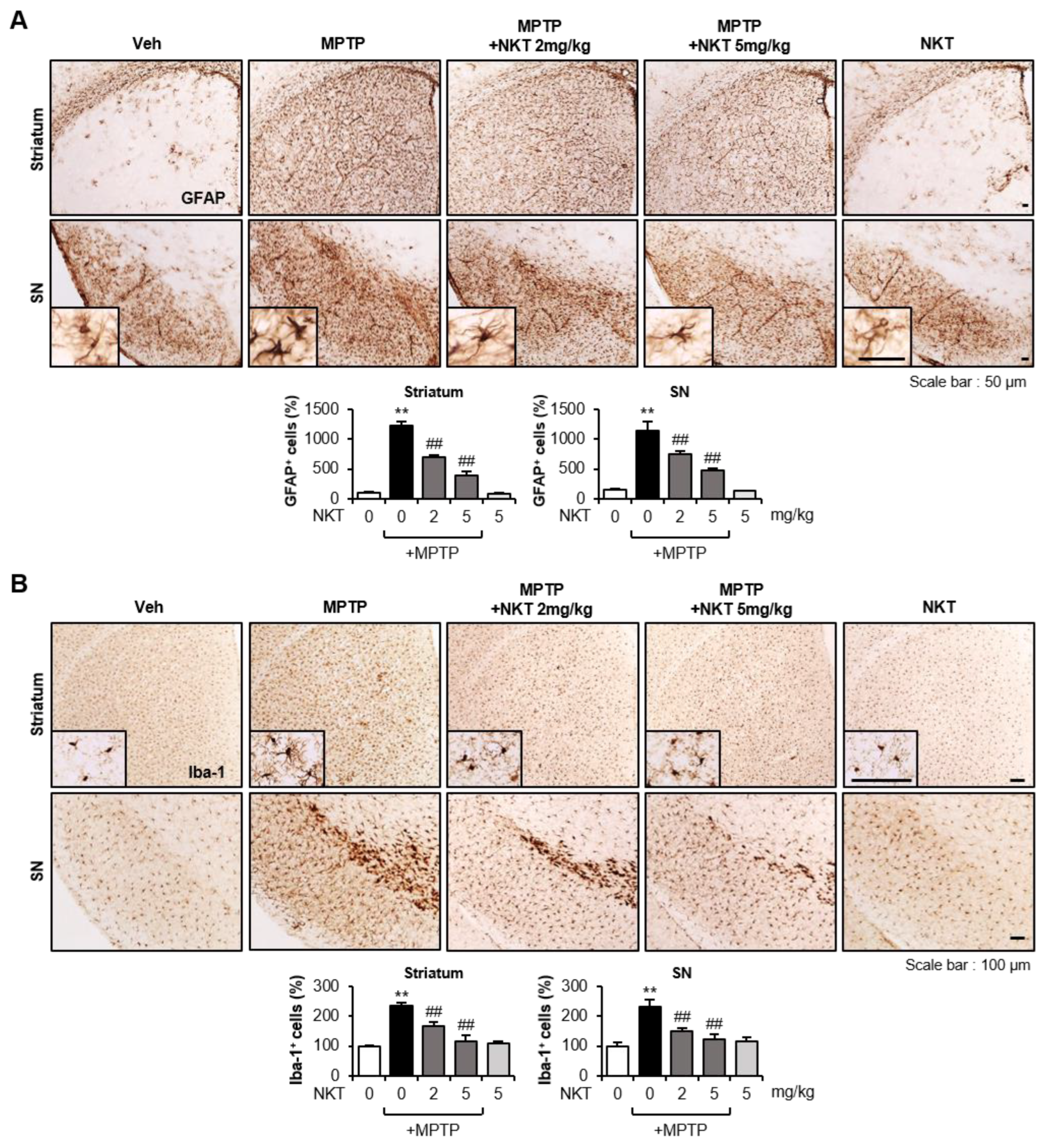Antioxidants 12 01999 g002