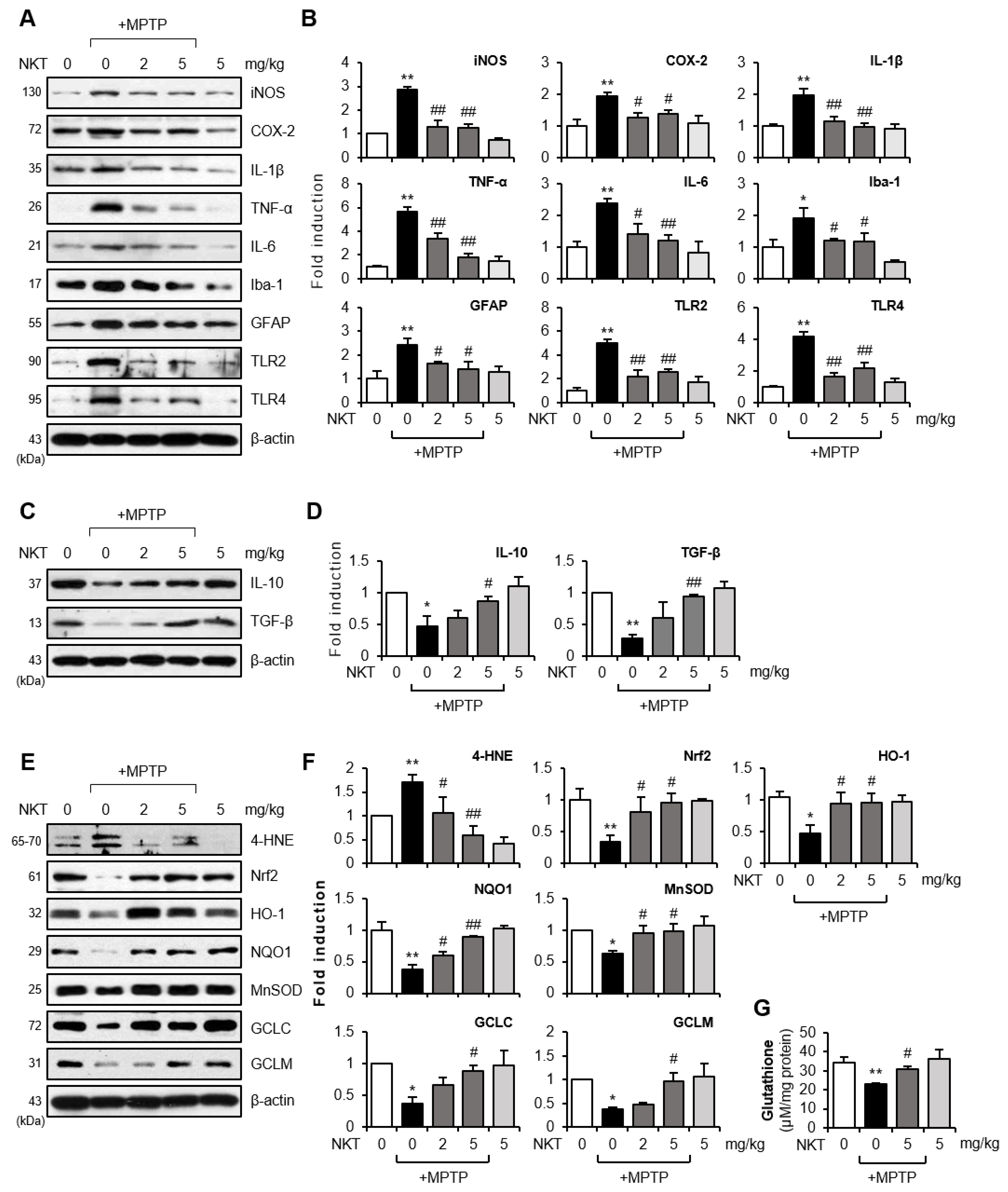 Antioxidants 12 01999 g003
