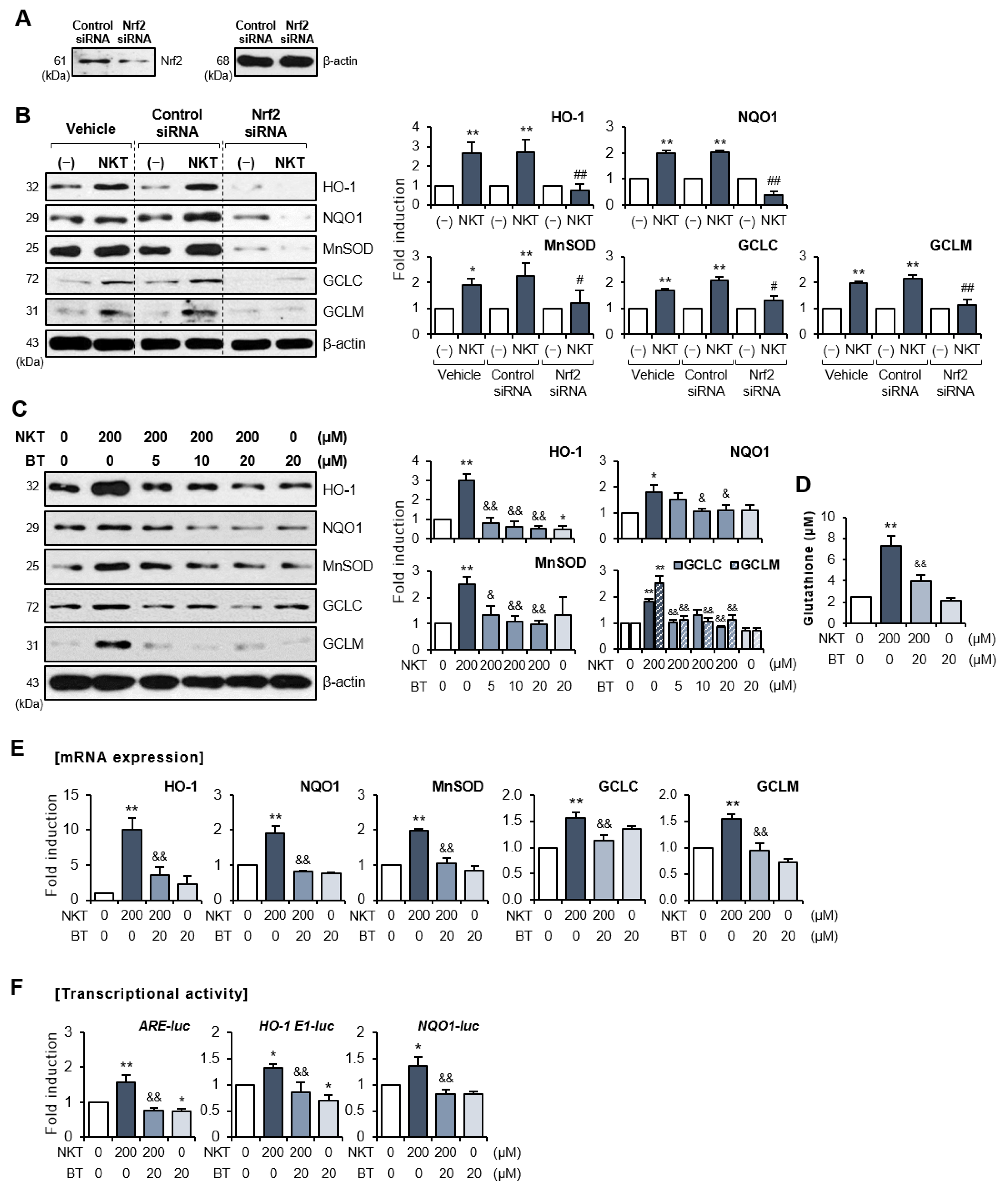 Antioxidants 12 01999 g006