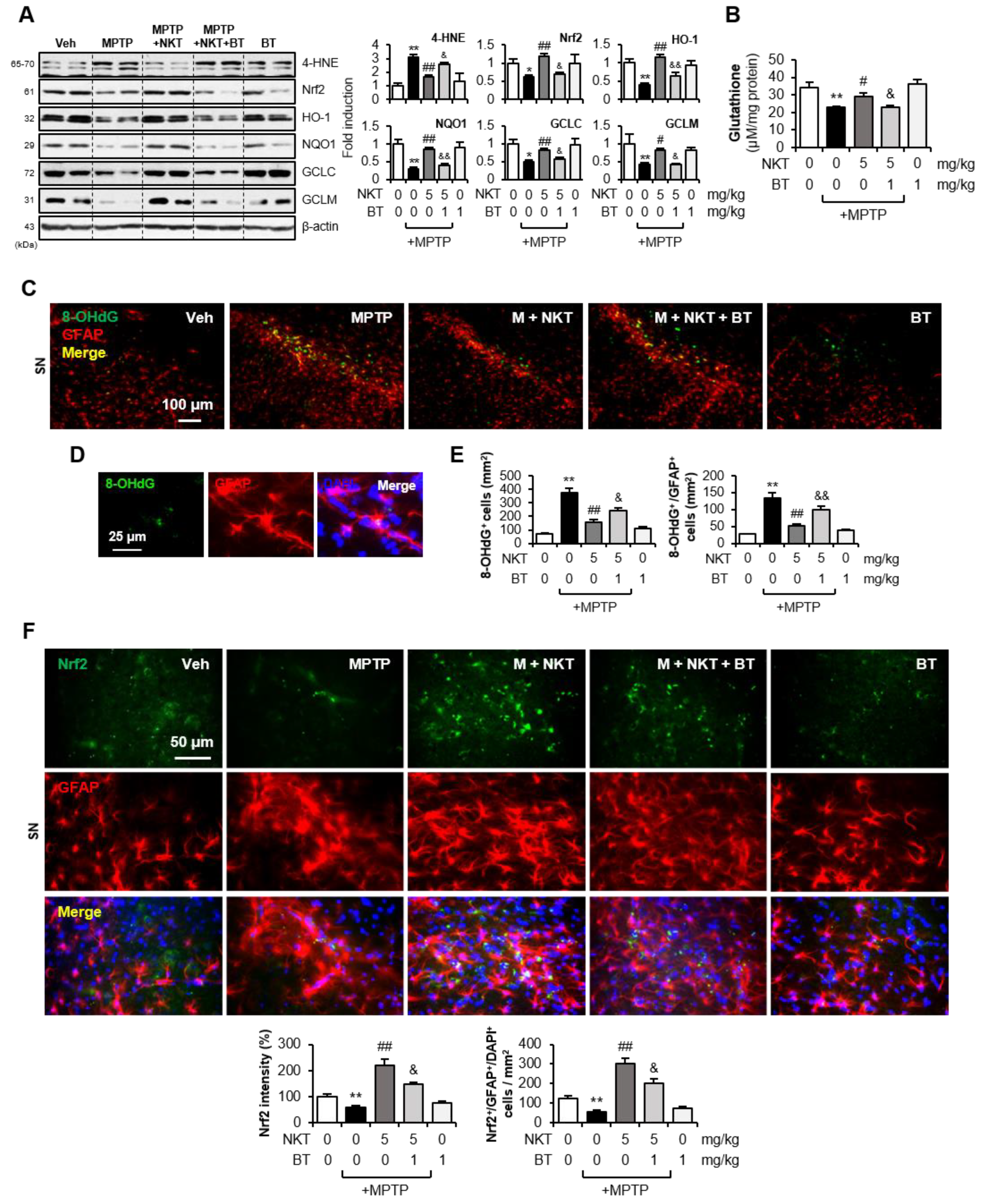 Antioxidants 12 01999 g007