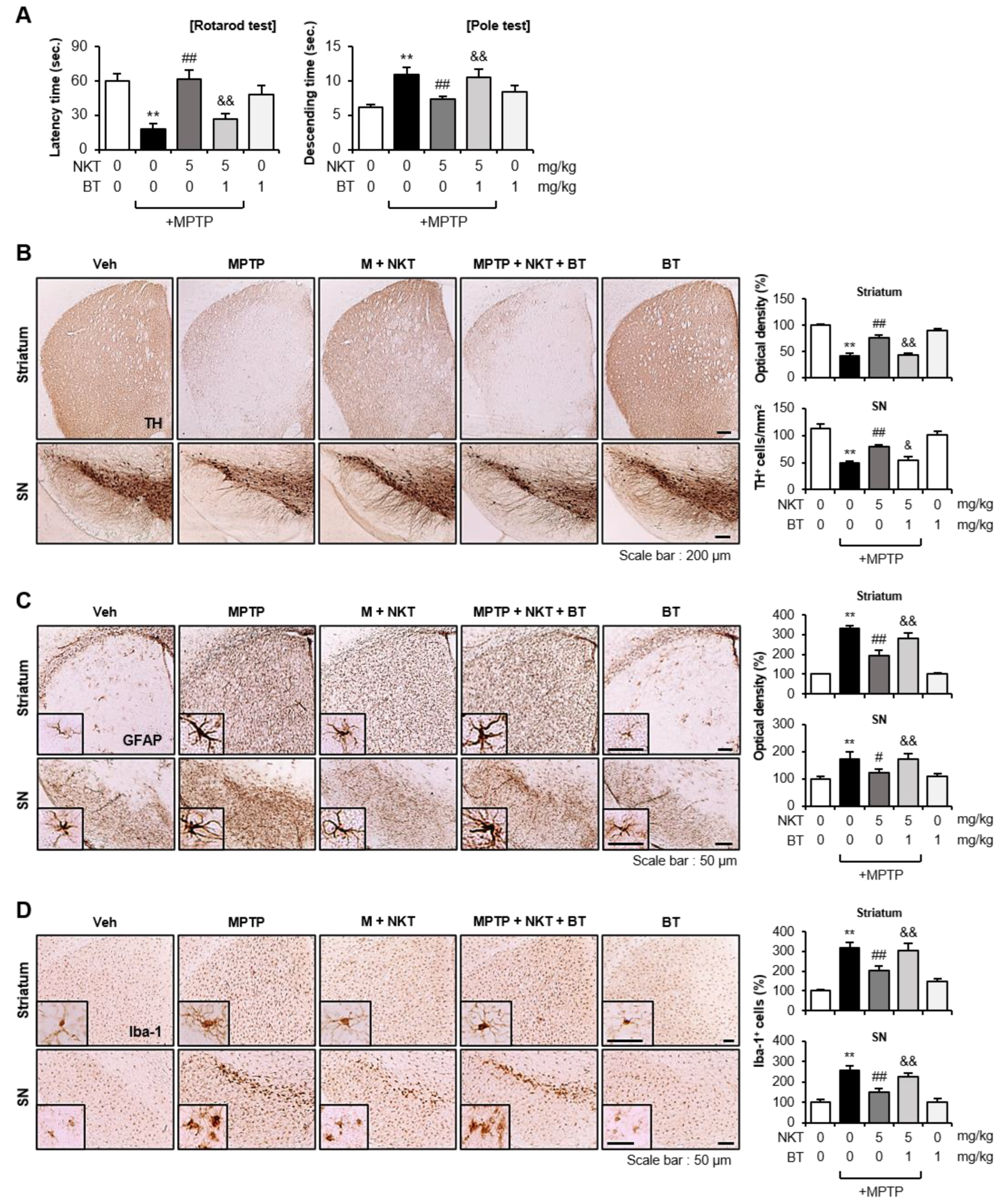 Antioxidants 12 01999 g009
