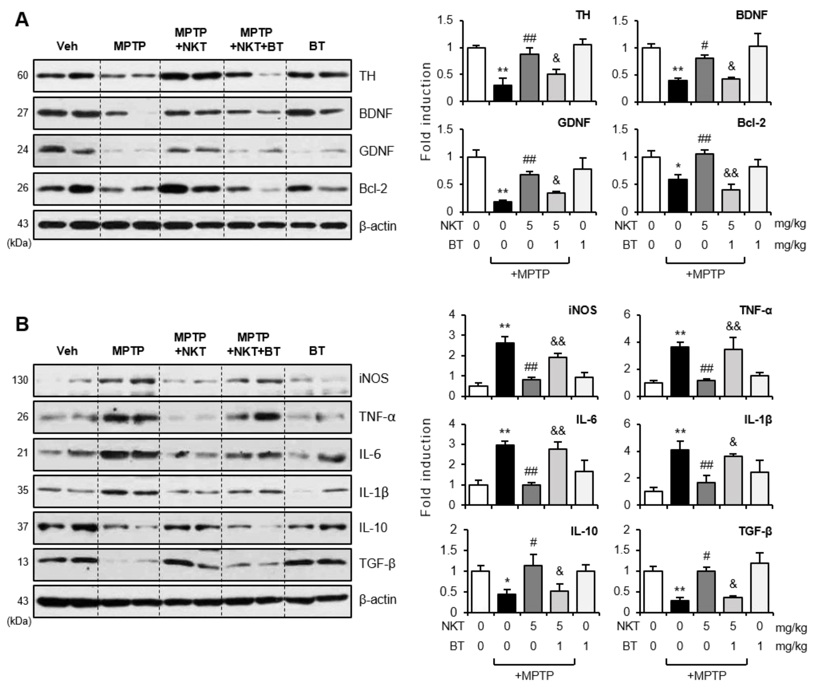 Antioxidants 12 01999 g010