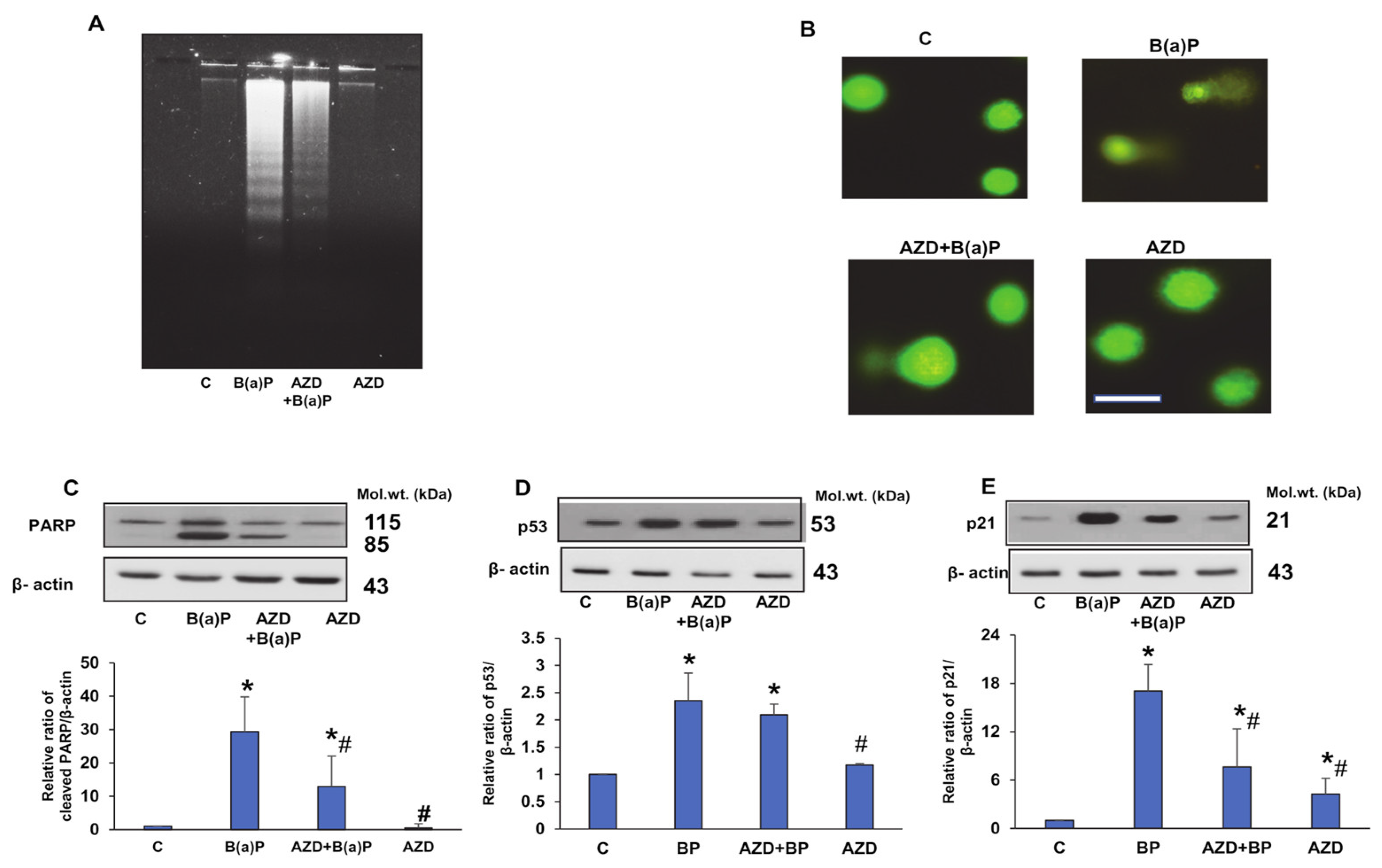 Antioxidants 12 02001 g002