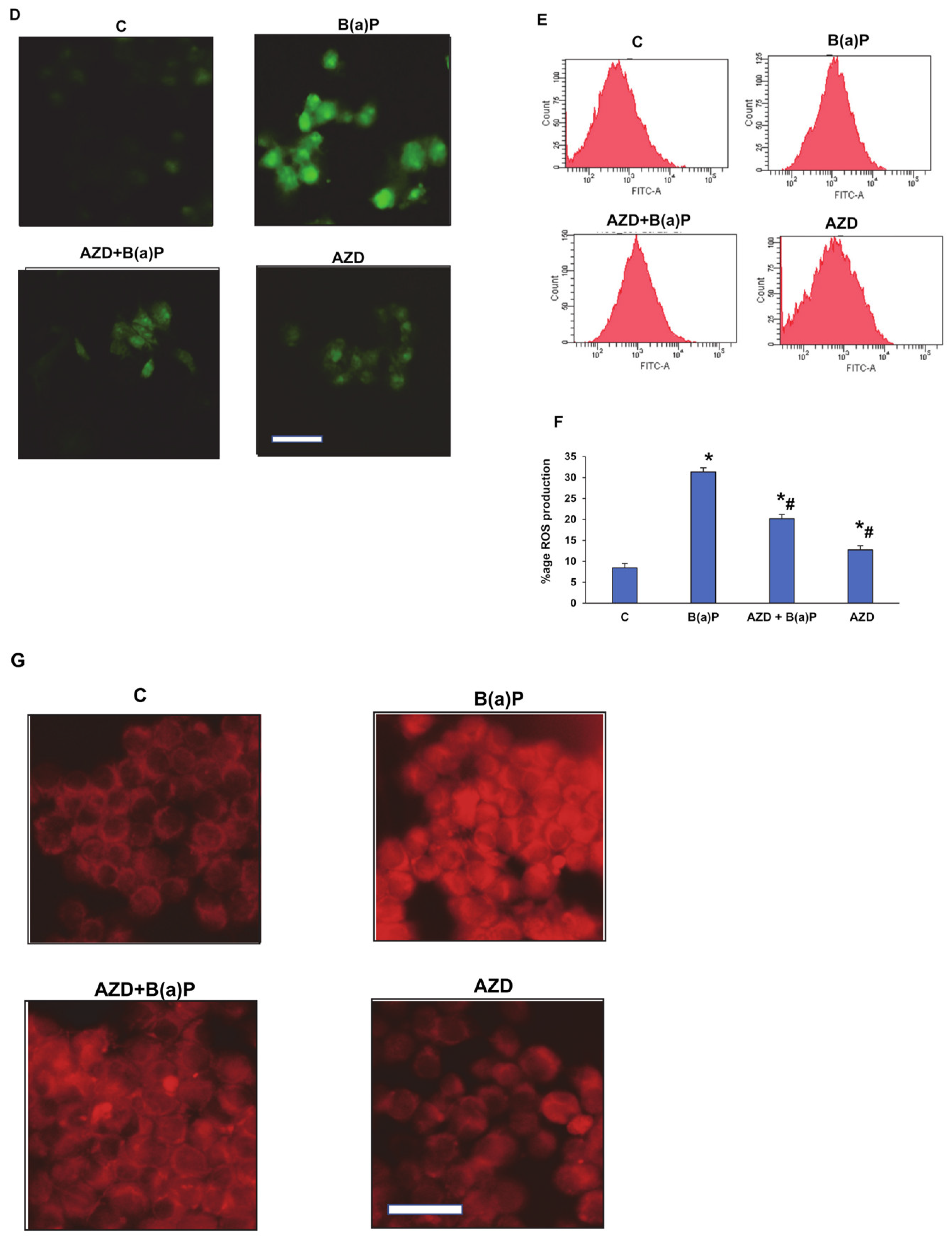 Antioxidants 12 02001 g004b