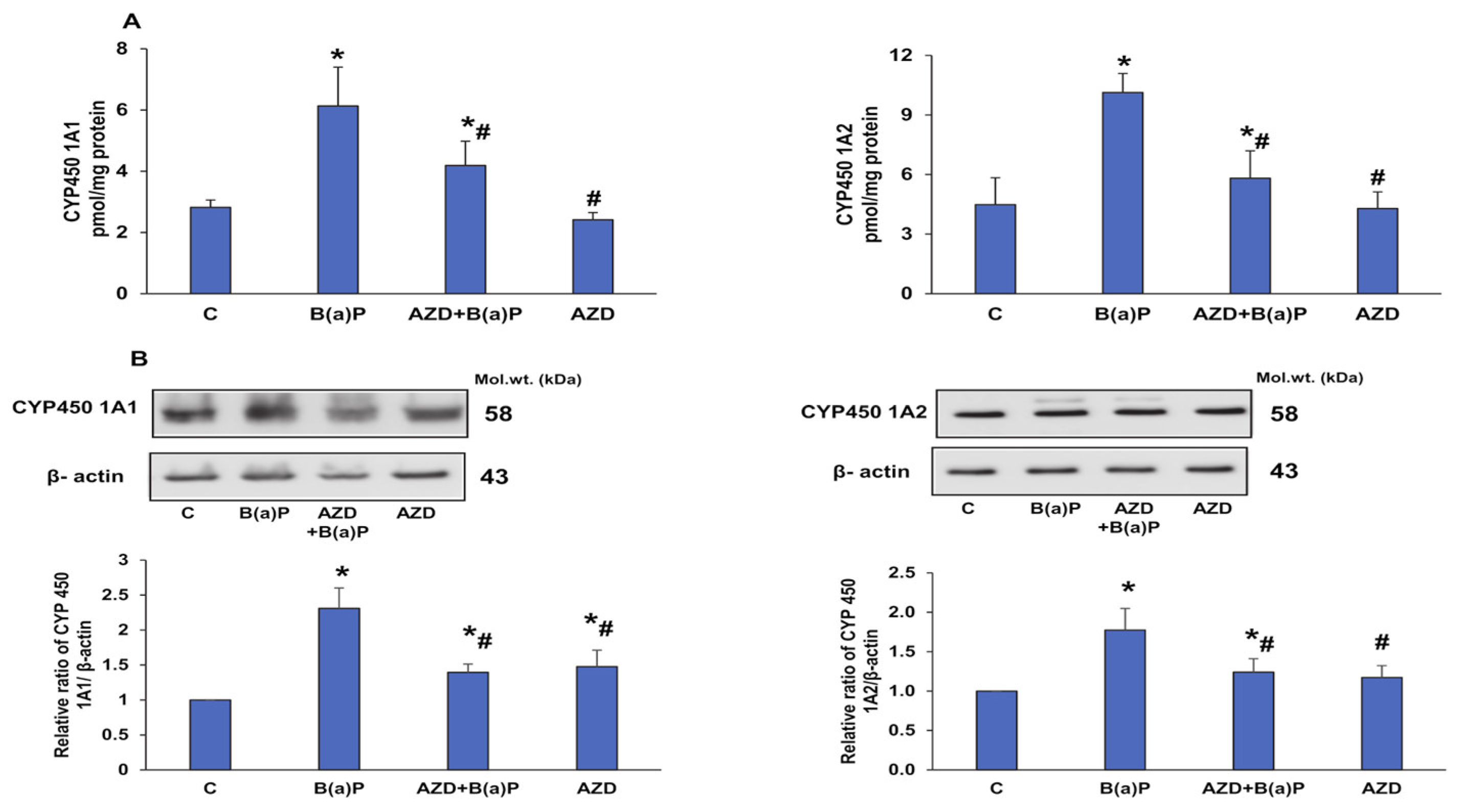 Antioxidants 12 02001 g007