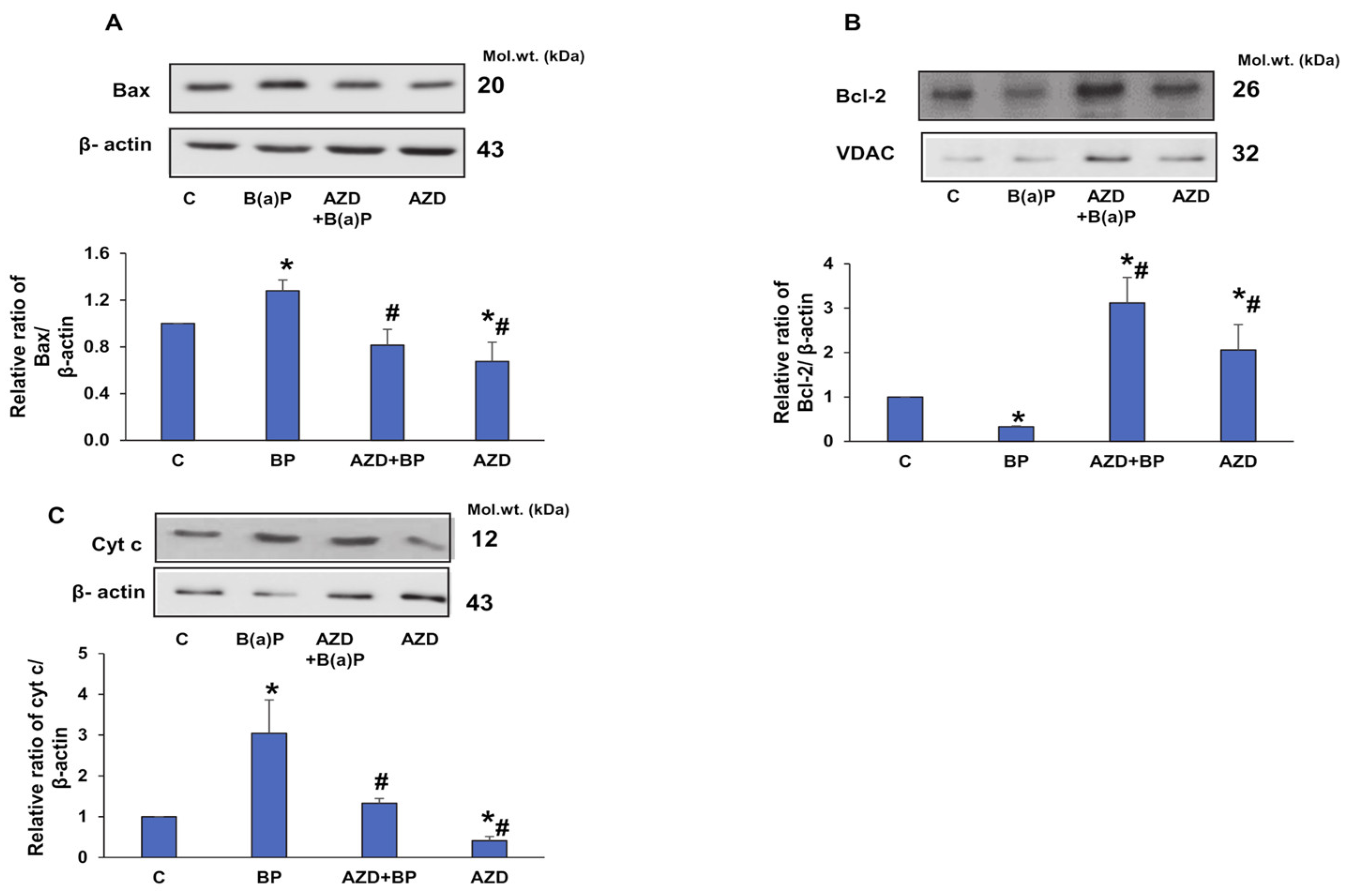 Antioxidants 12 02001 g010
