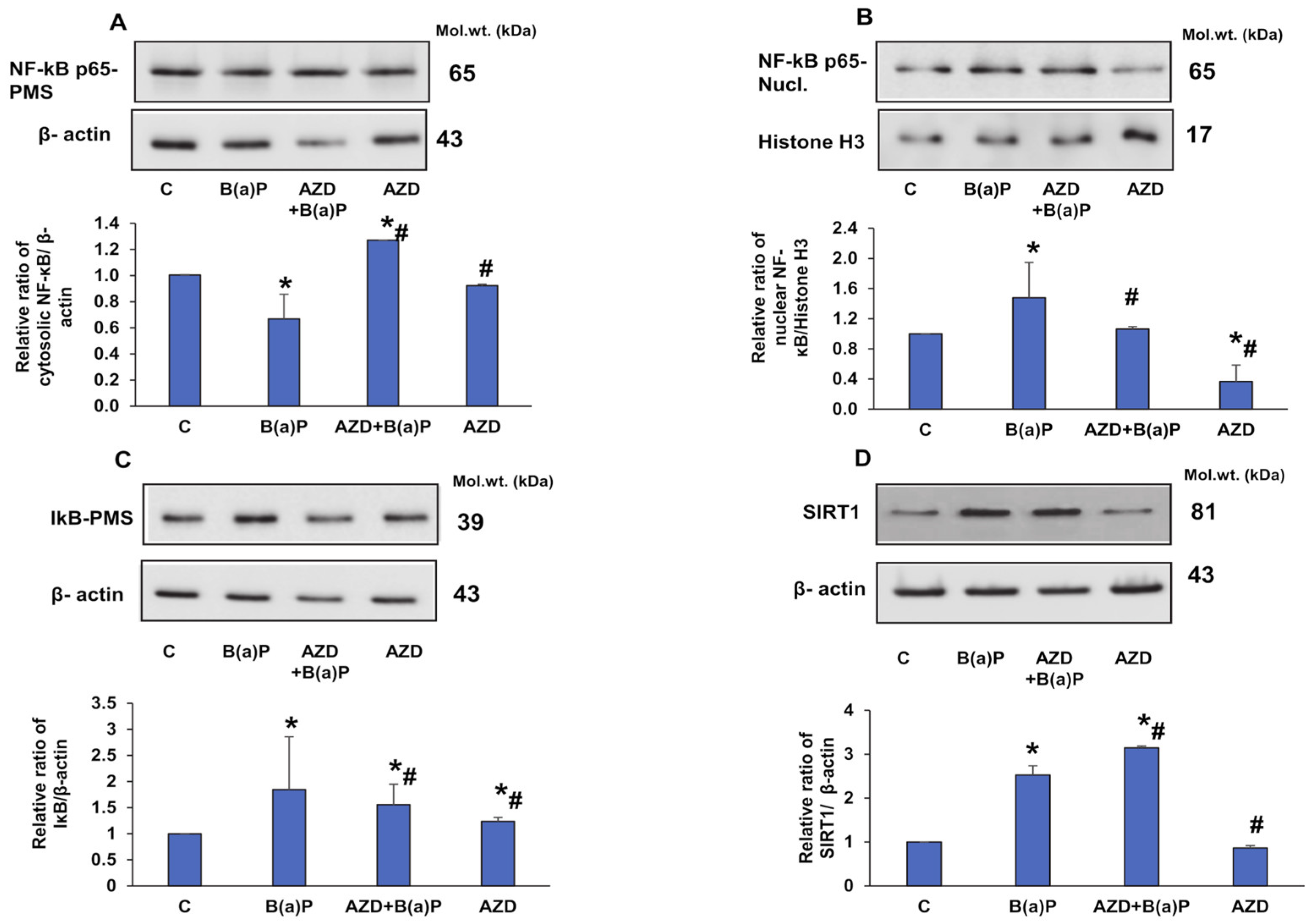 Antioxidants 12 02001 g011