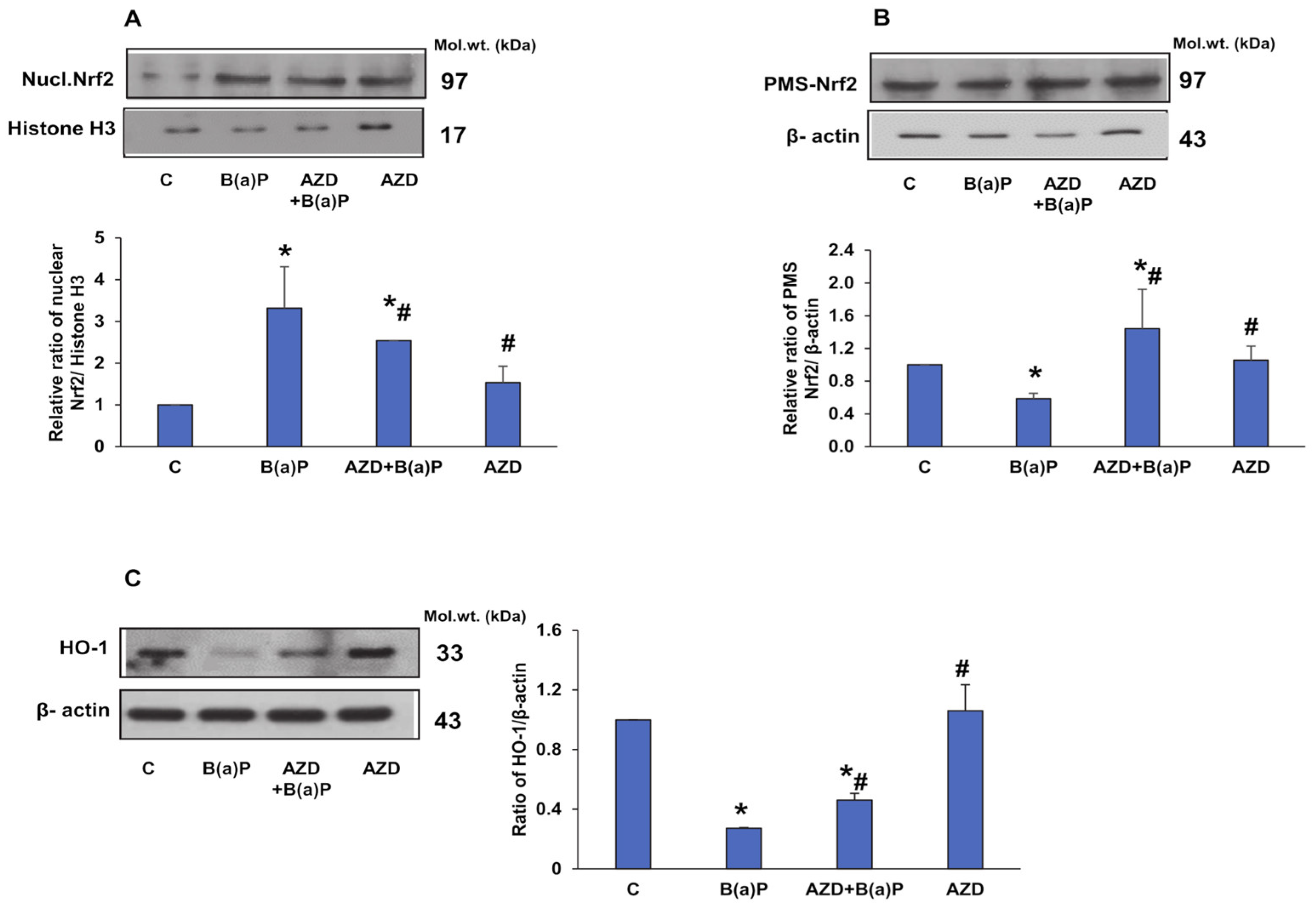 Antioxidants 12 02001 g012