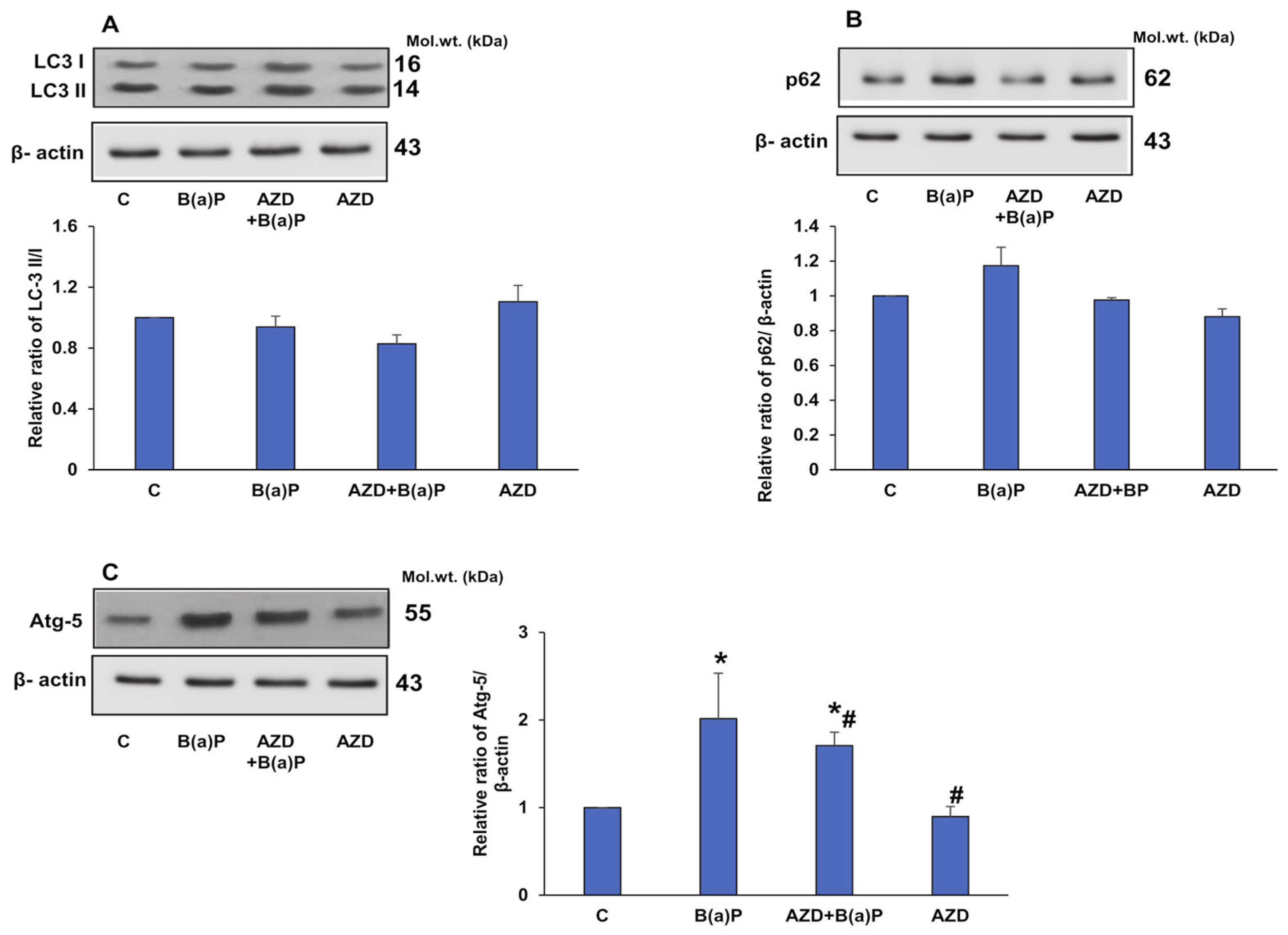 Antioxidants 12 02001 g013