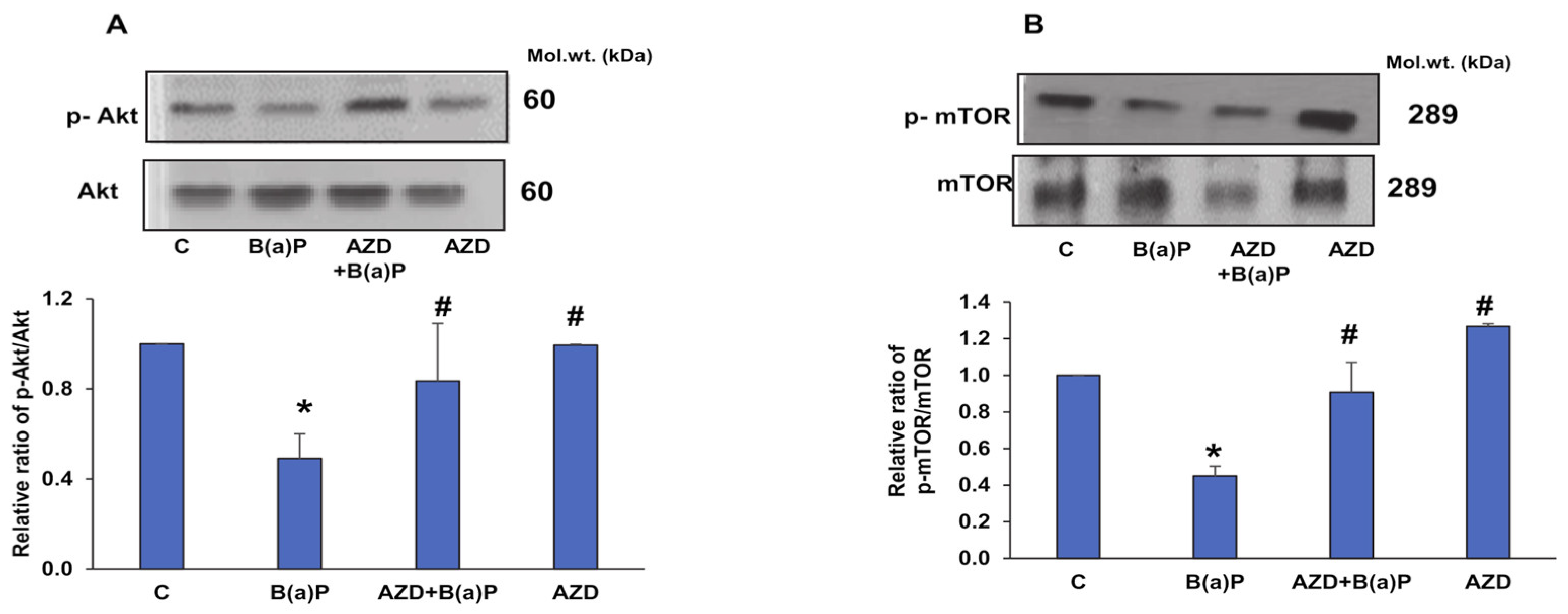 Antioxidants 12 02001 g014