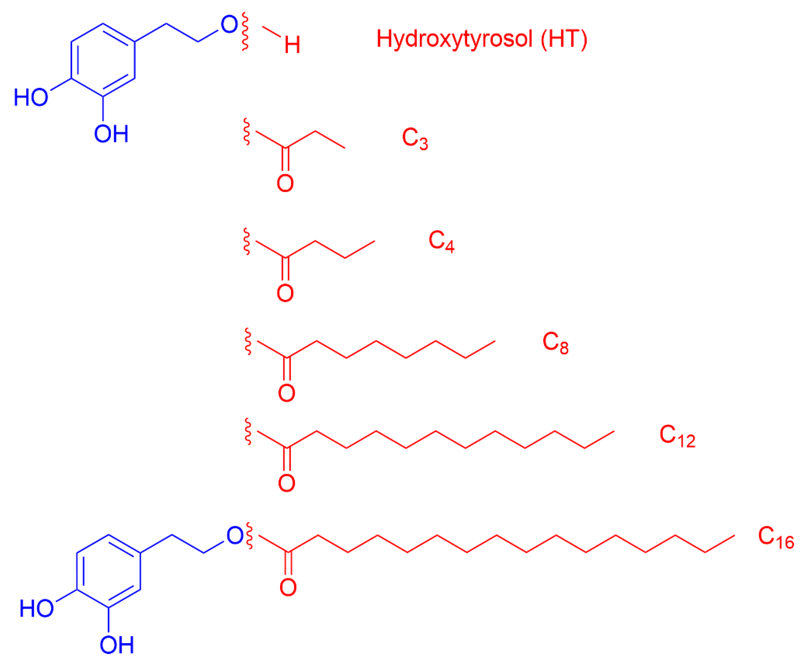Antioxidants 12 02002 g001