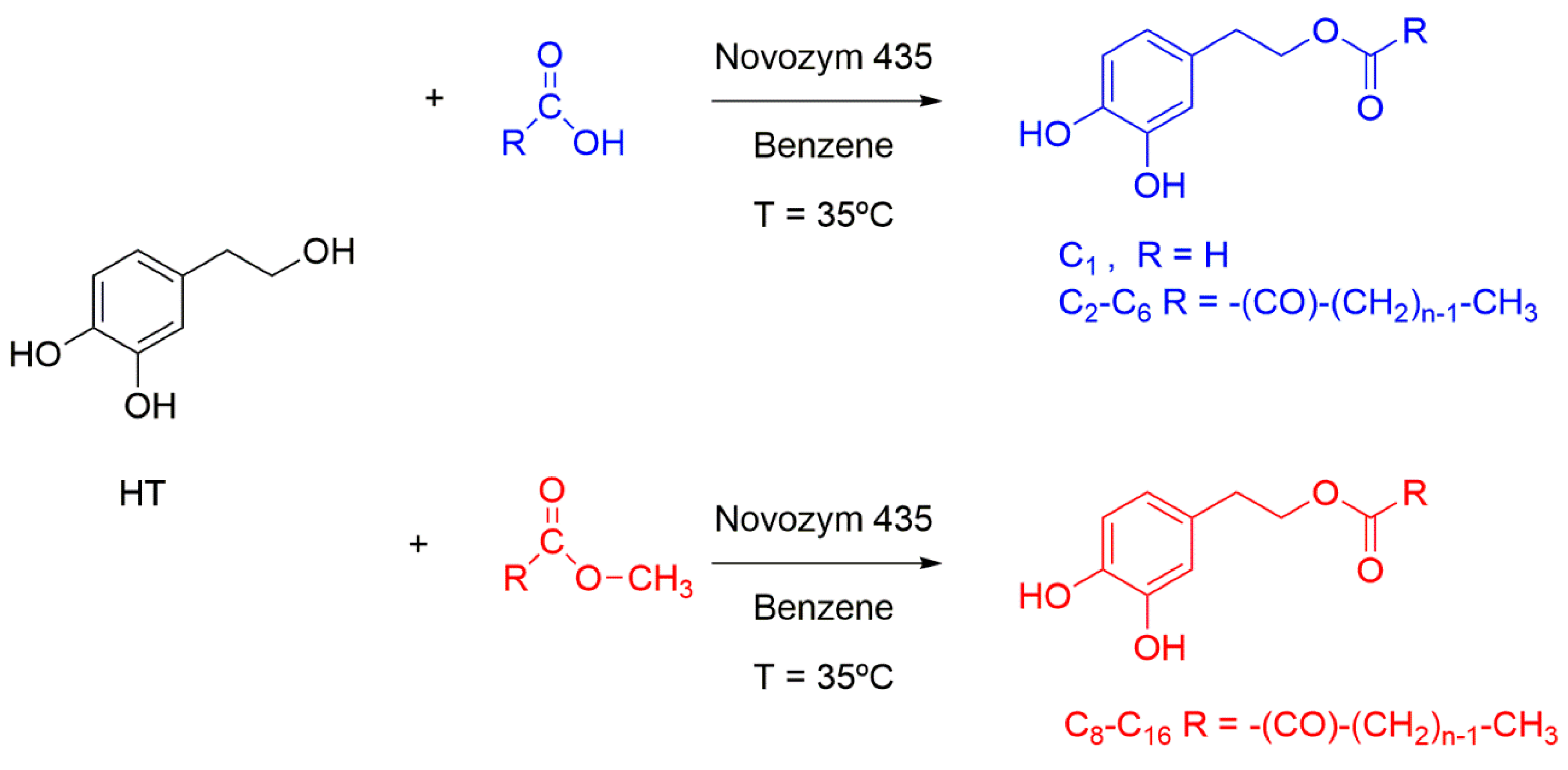 Antioxidants 12 02002 g002