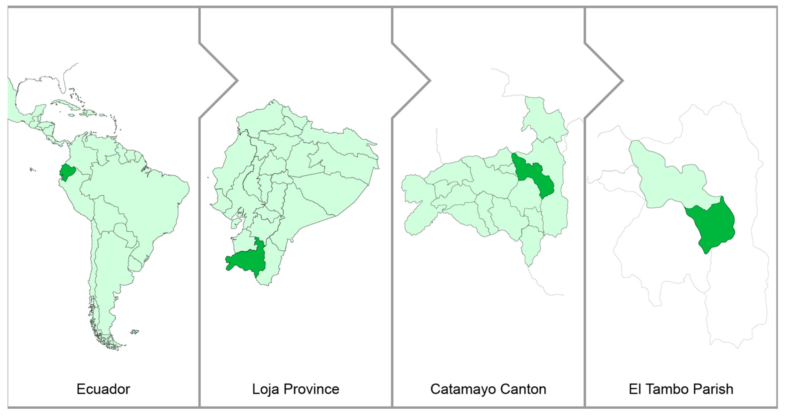 Antioxidants 12 02003 g001