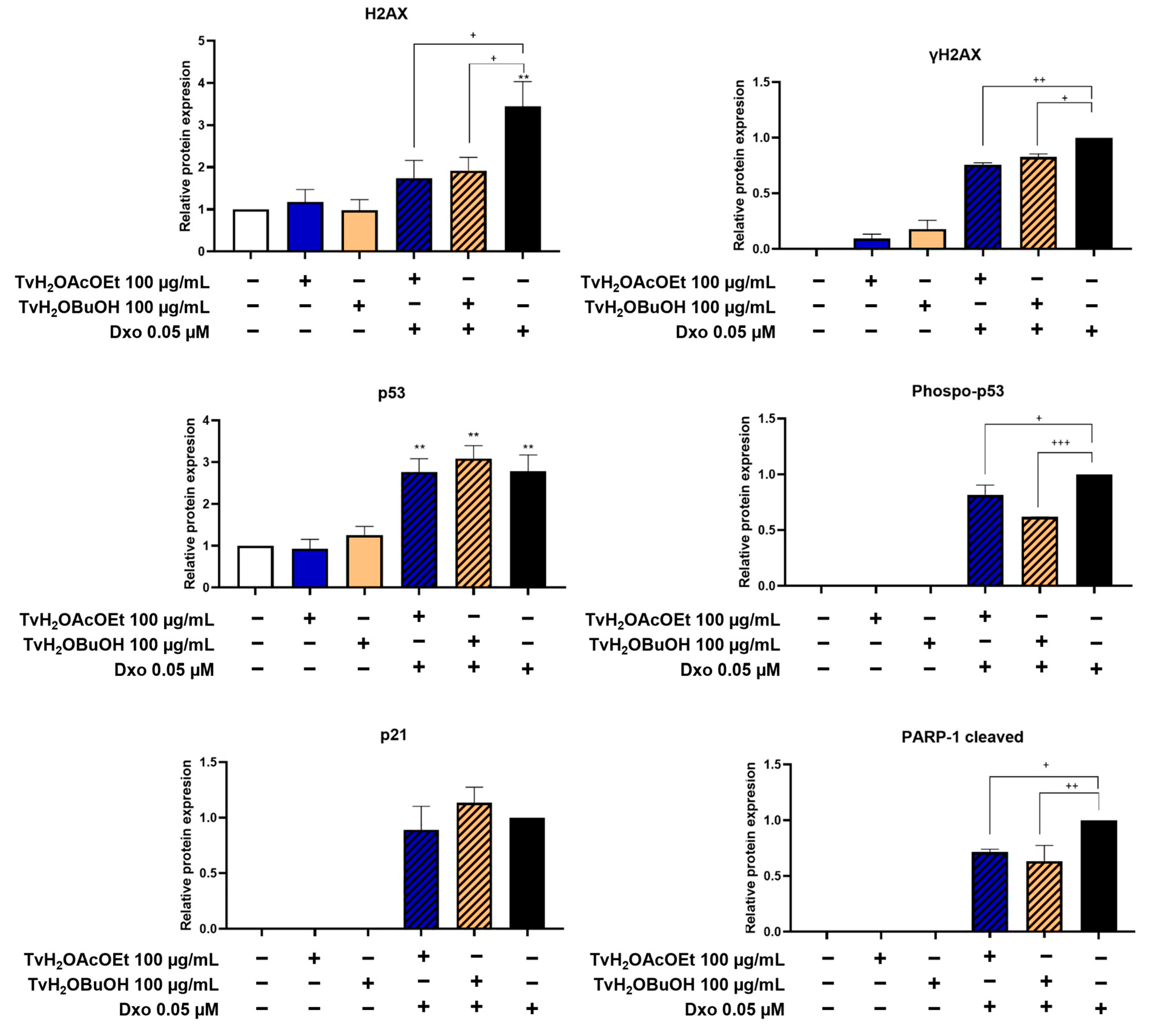 Antioxidants 12 02003 g008