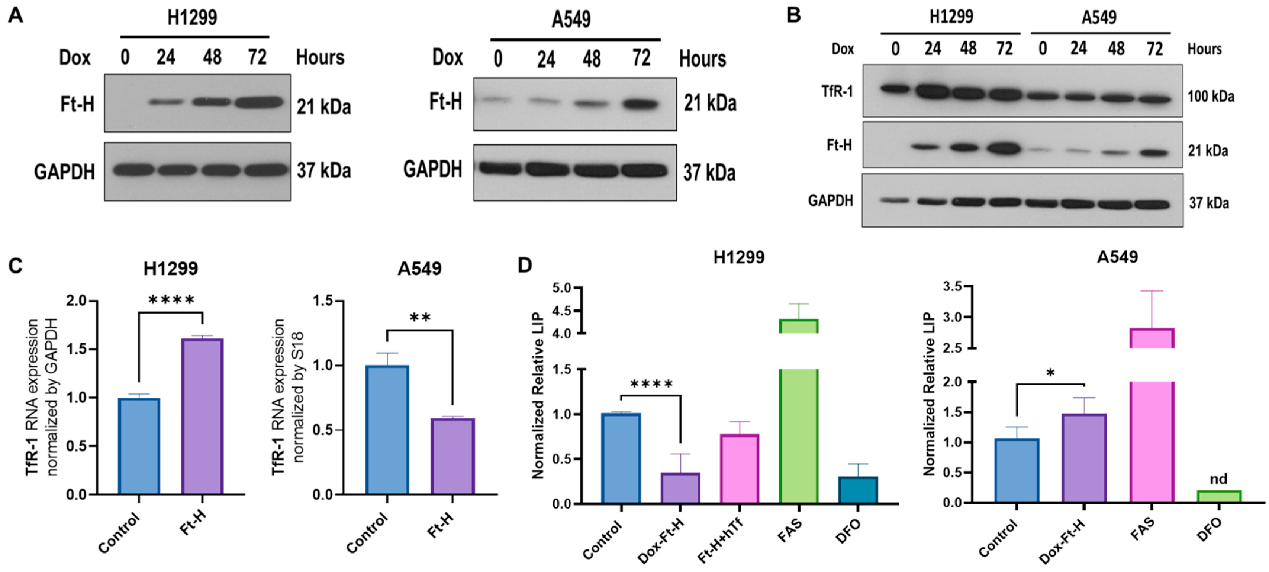 Antioxidants 12 02005 g001