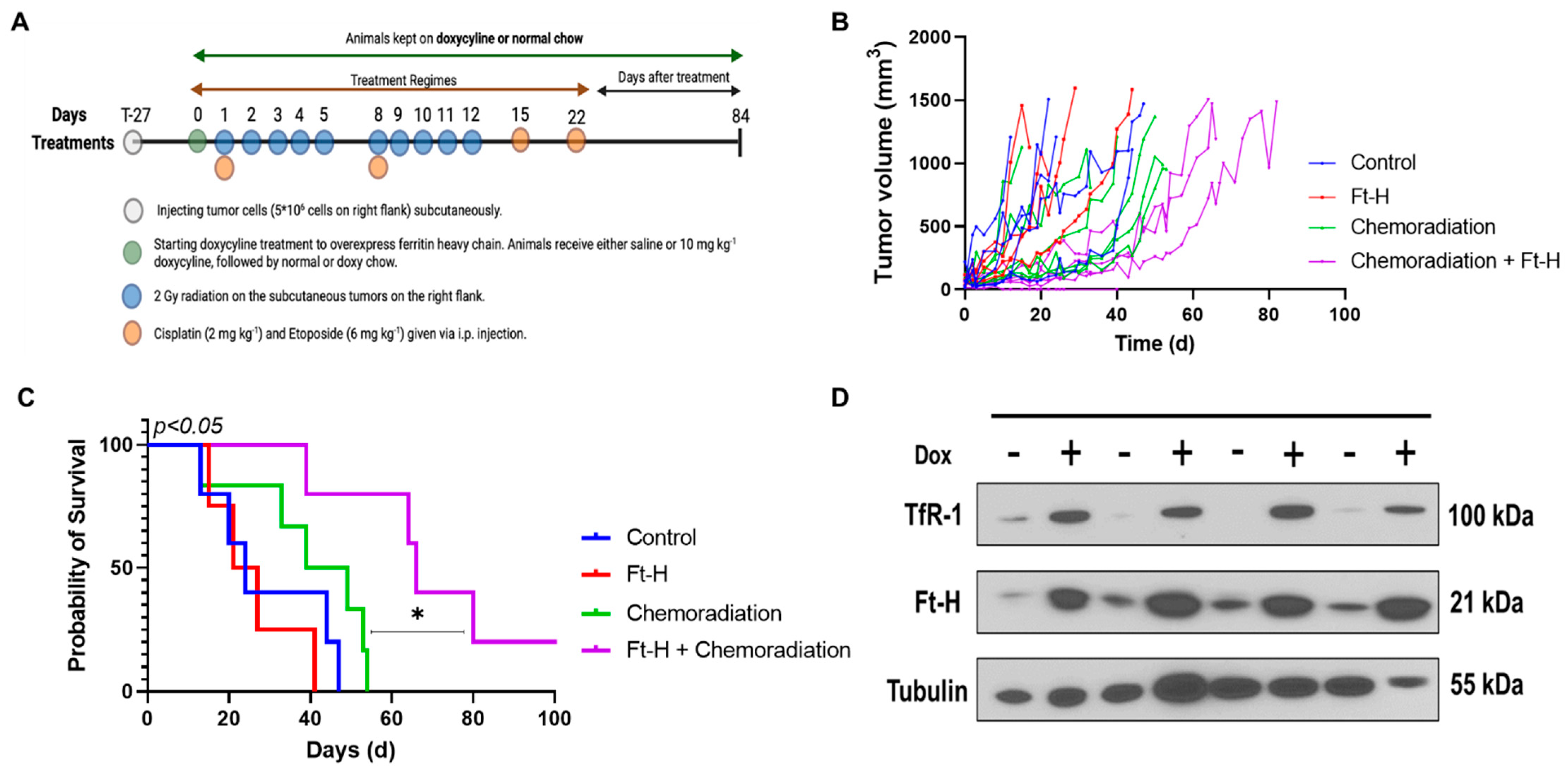 Antioxidants 12 02005 g005