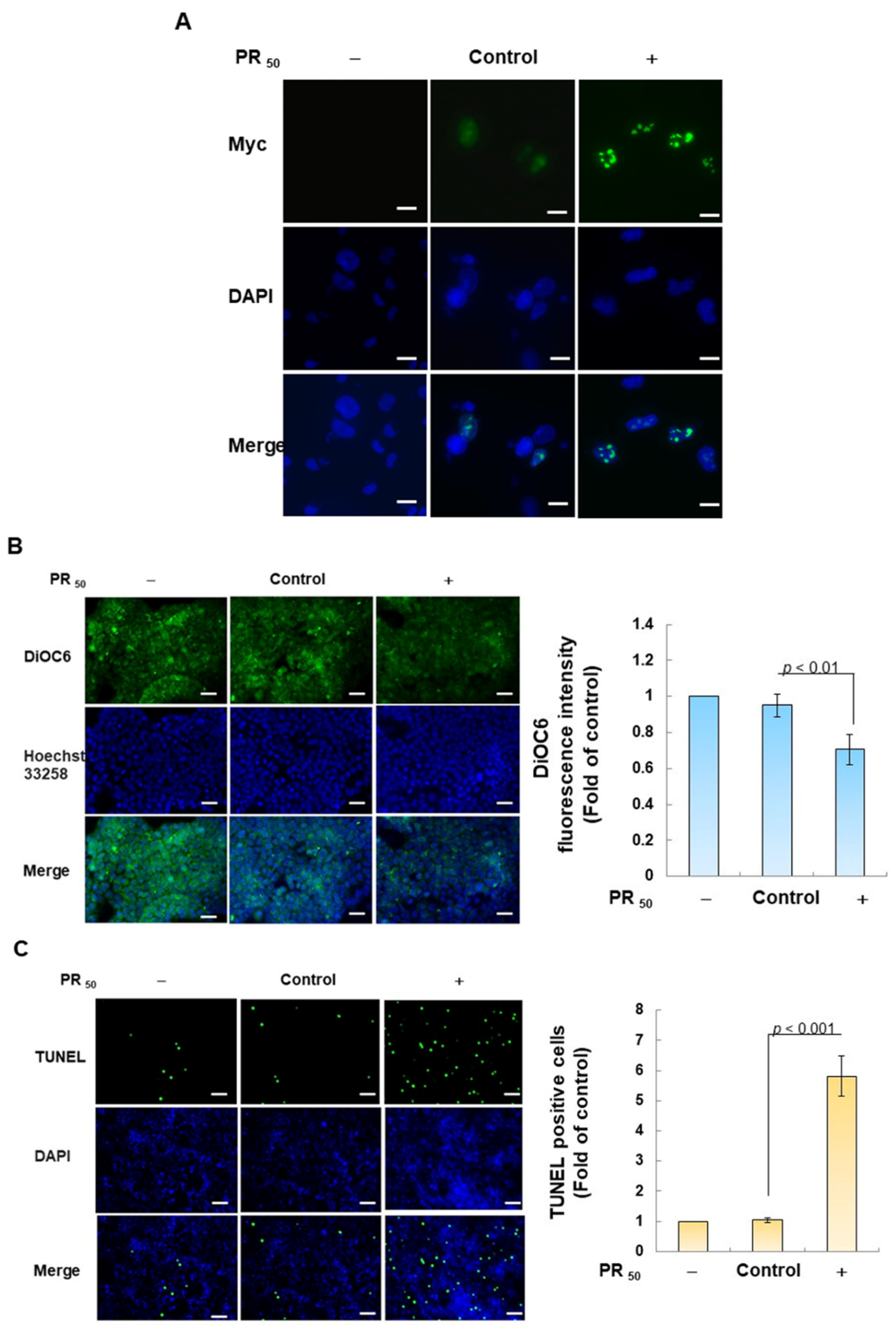 Antioxidants 12 02008 g002a