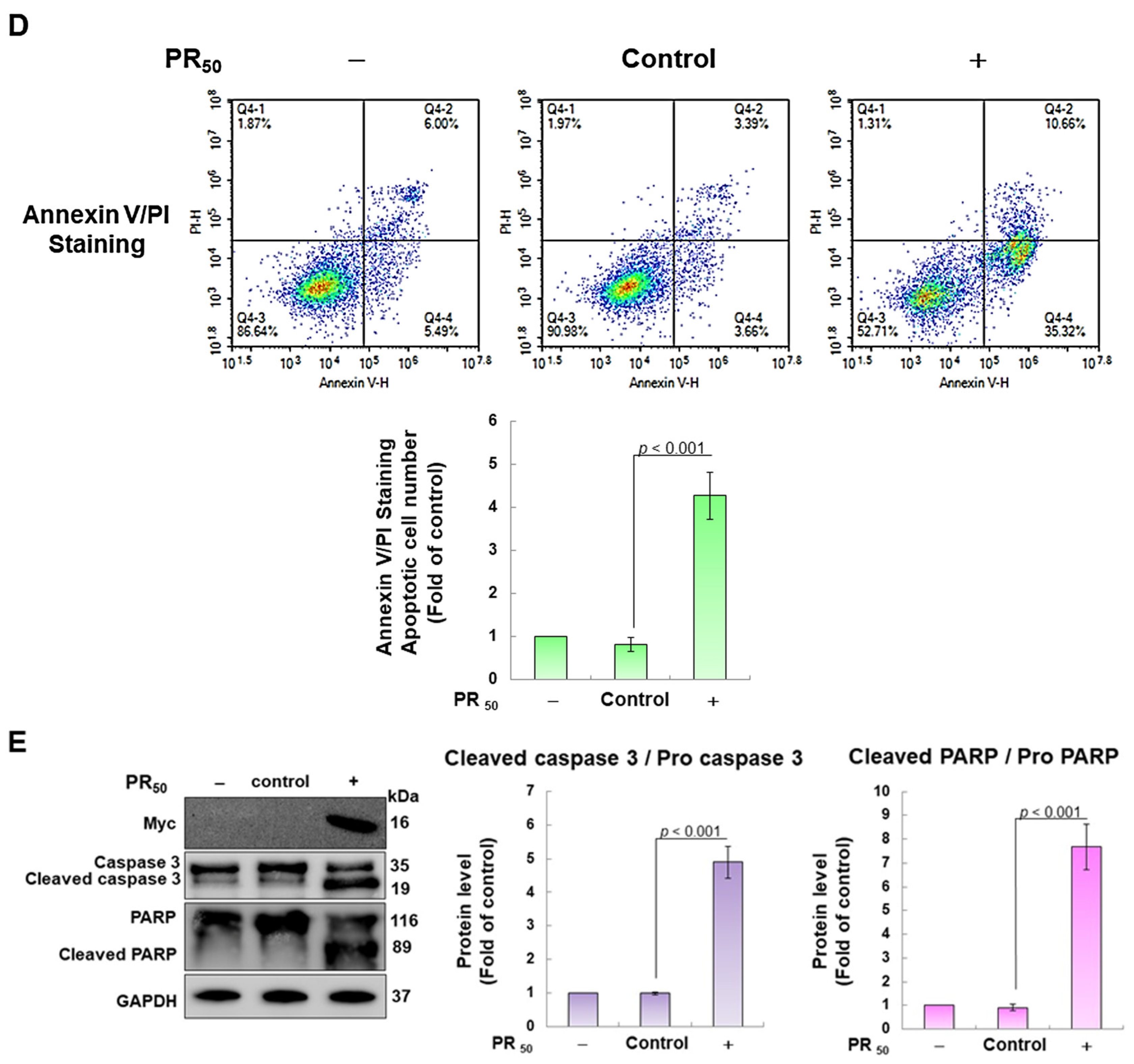 Antioxidants 12 02008 g002b