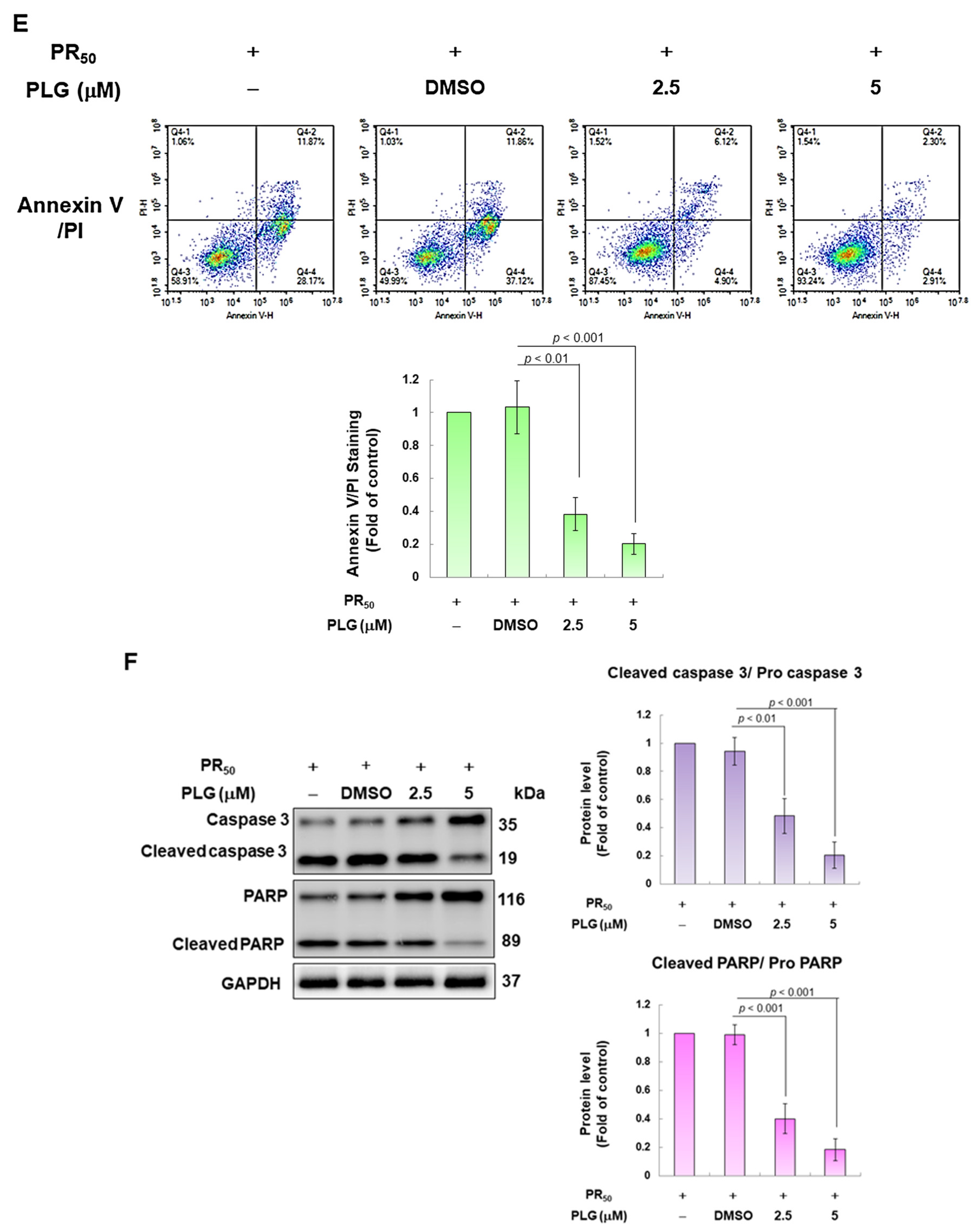 Antioxidants 12 02008 g003b