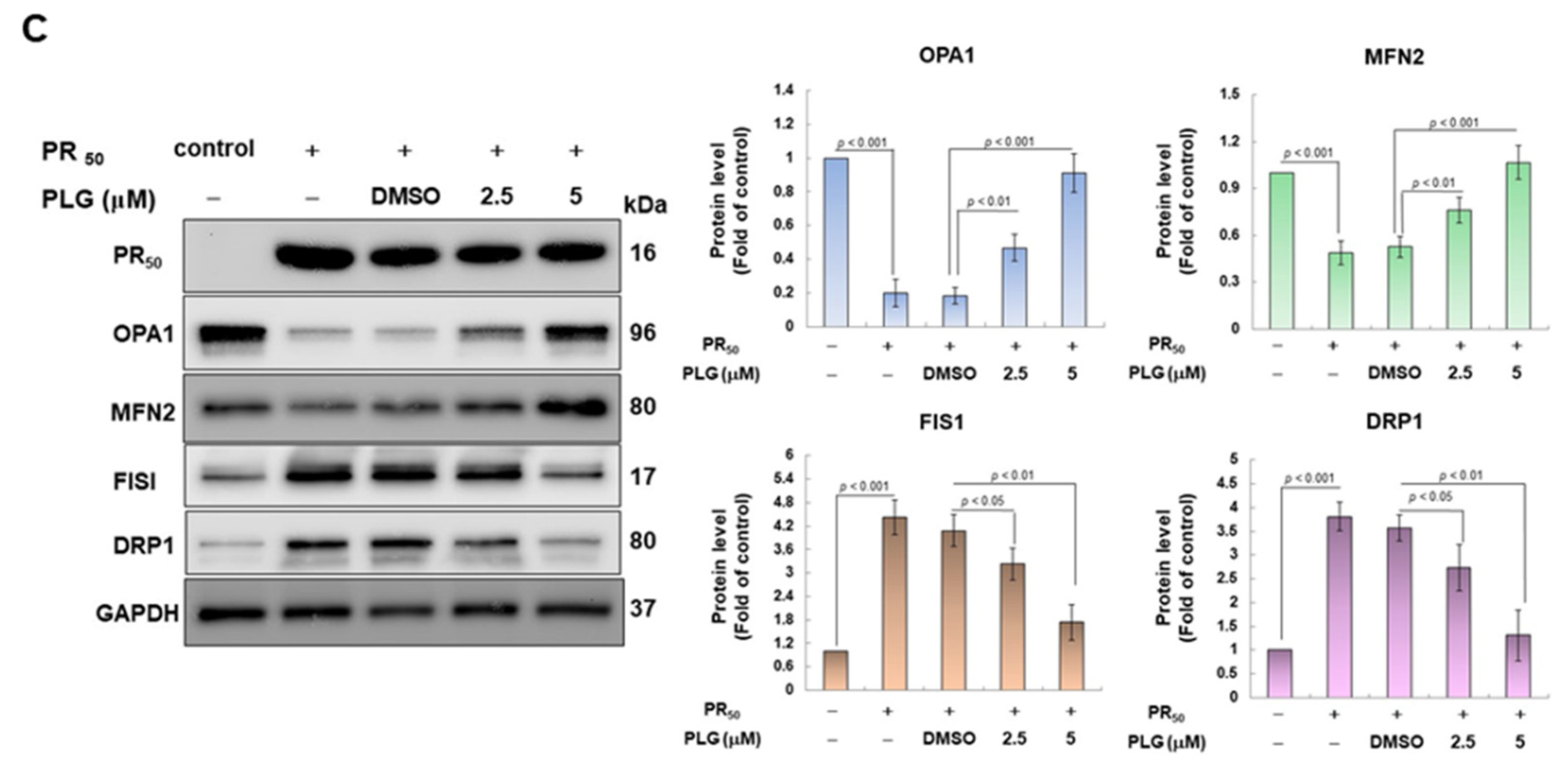 Antioxidants 12 02008 g004b