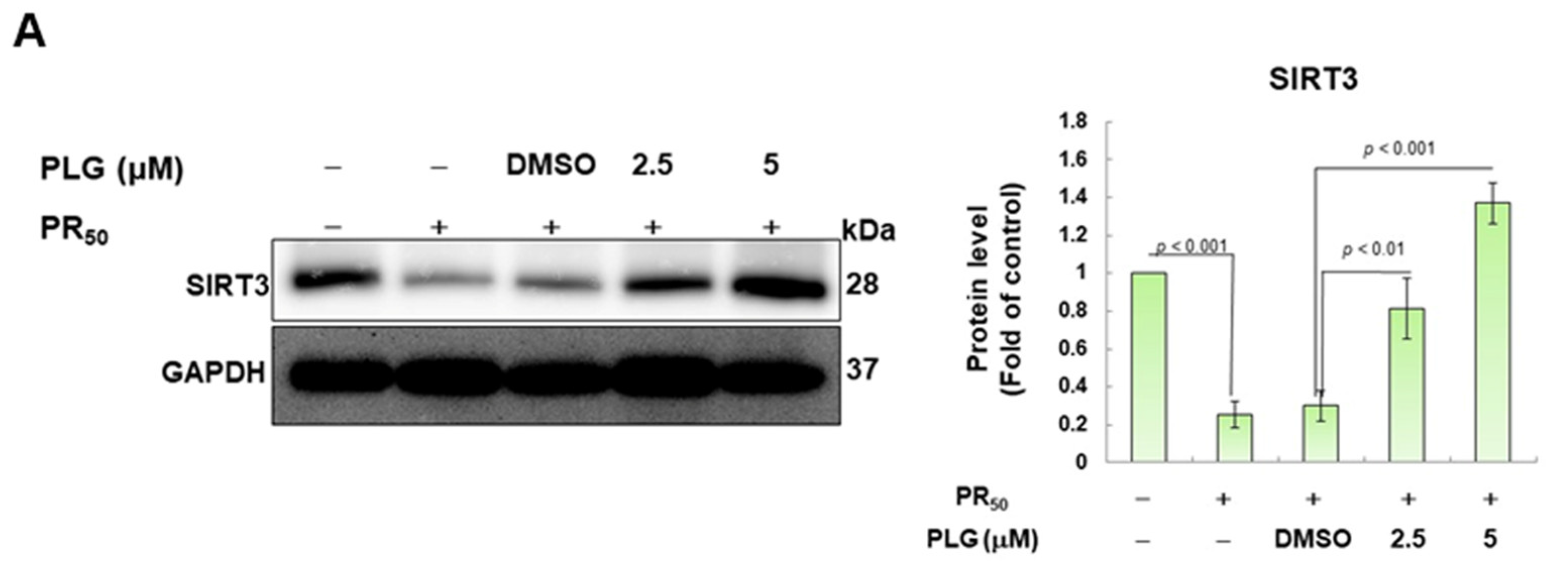 Antioxidants 12 02008 g005a