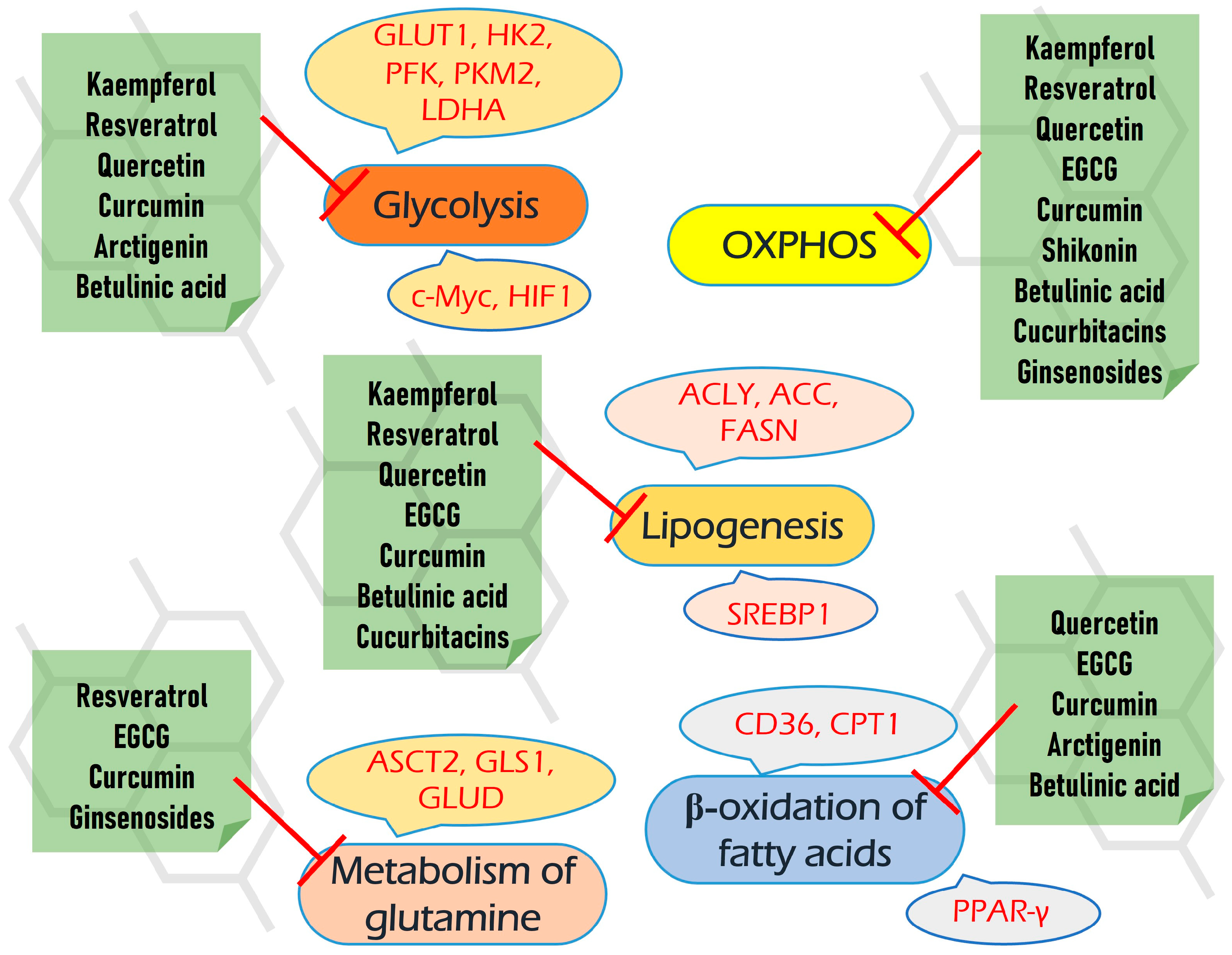 Antioxidants 12 02012 g016