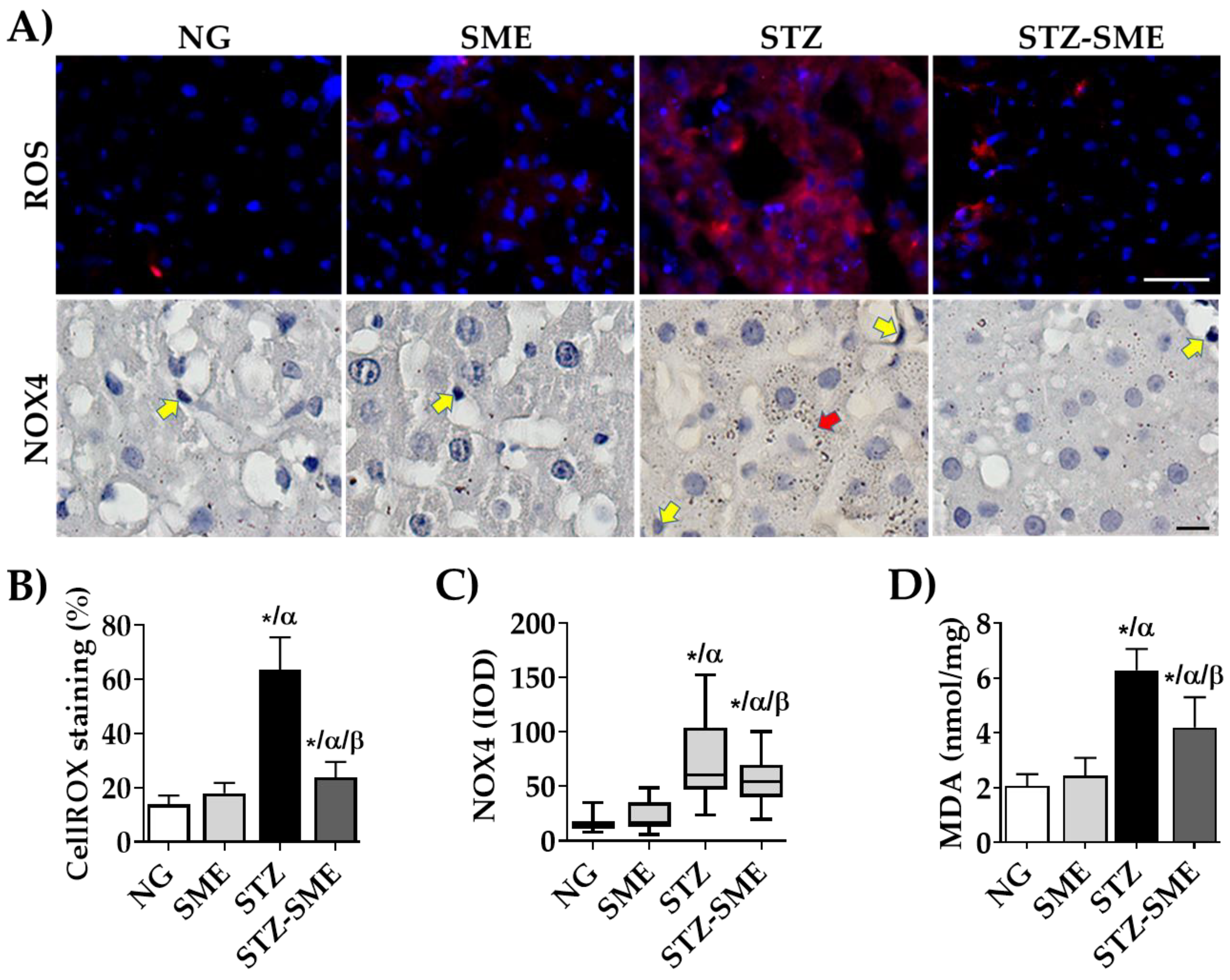 Antioxidants 12 02013 g002