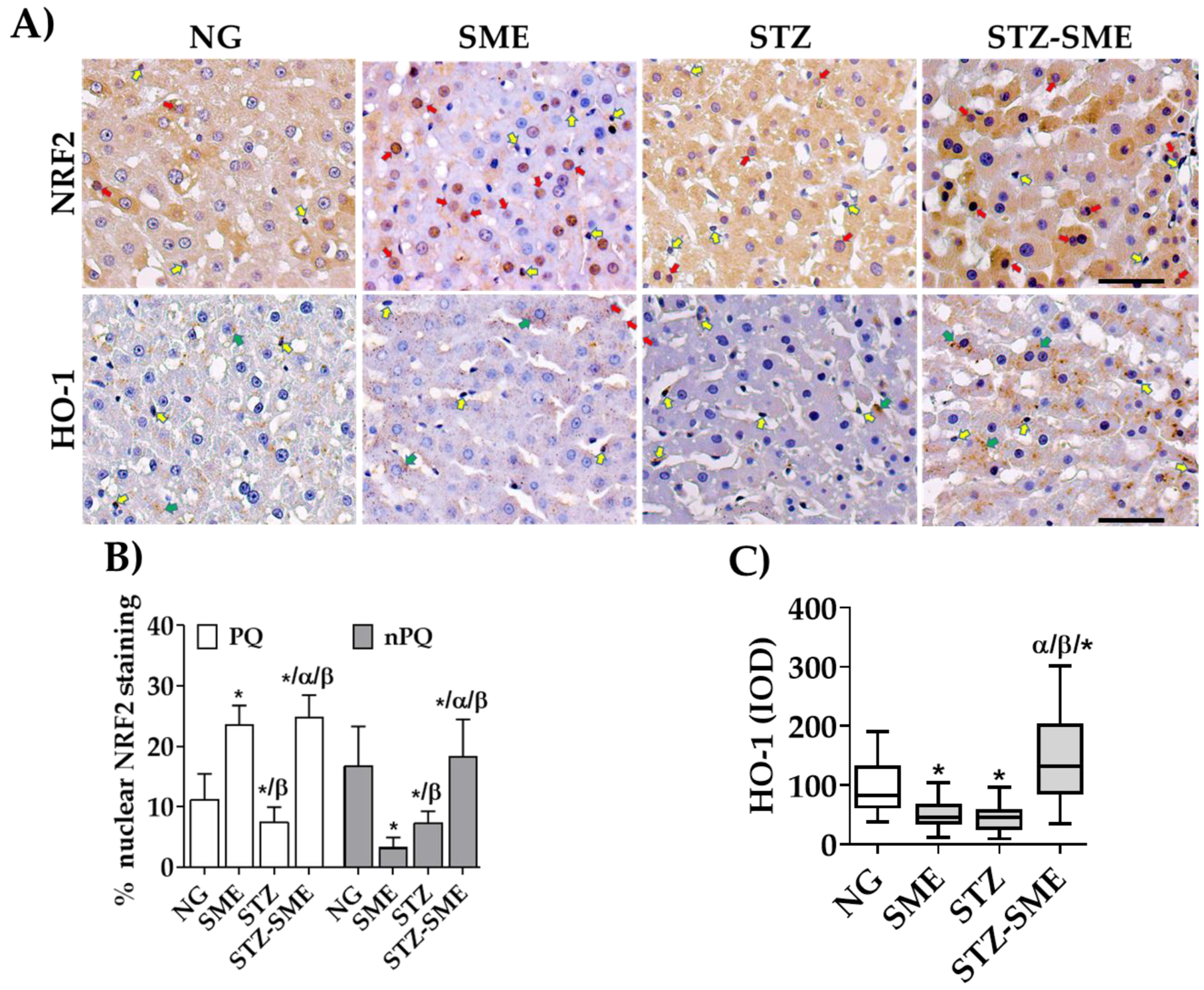 Antioxidants 12 02013 g004