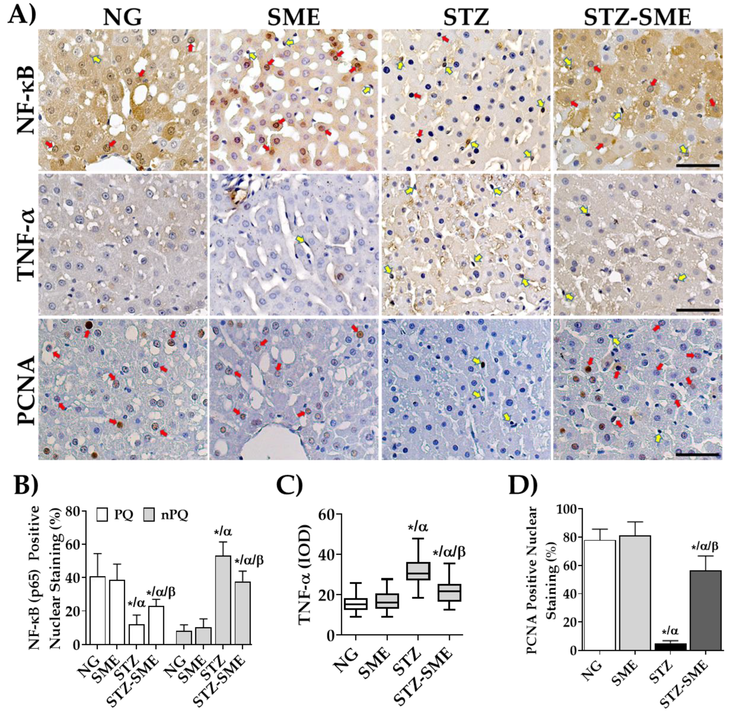 Antioxidants 12 02013 g005