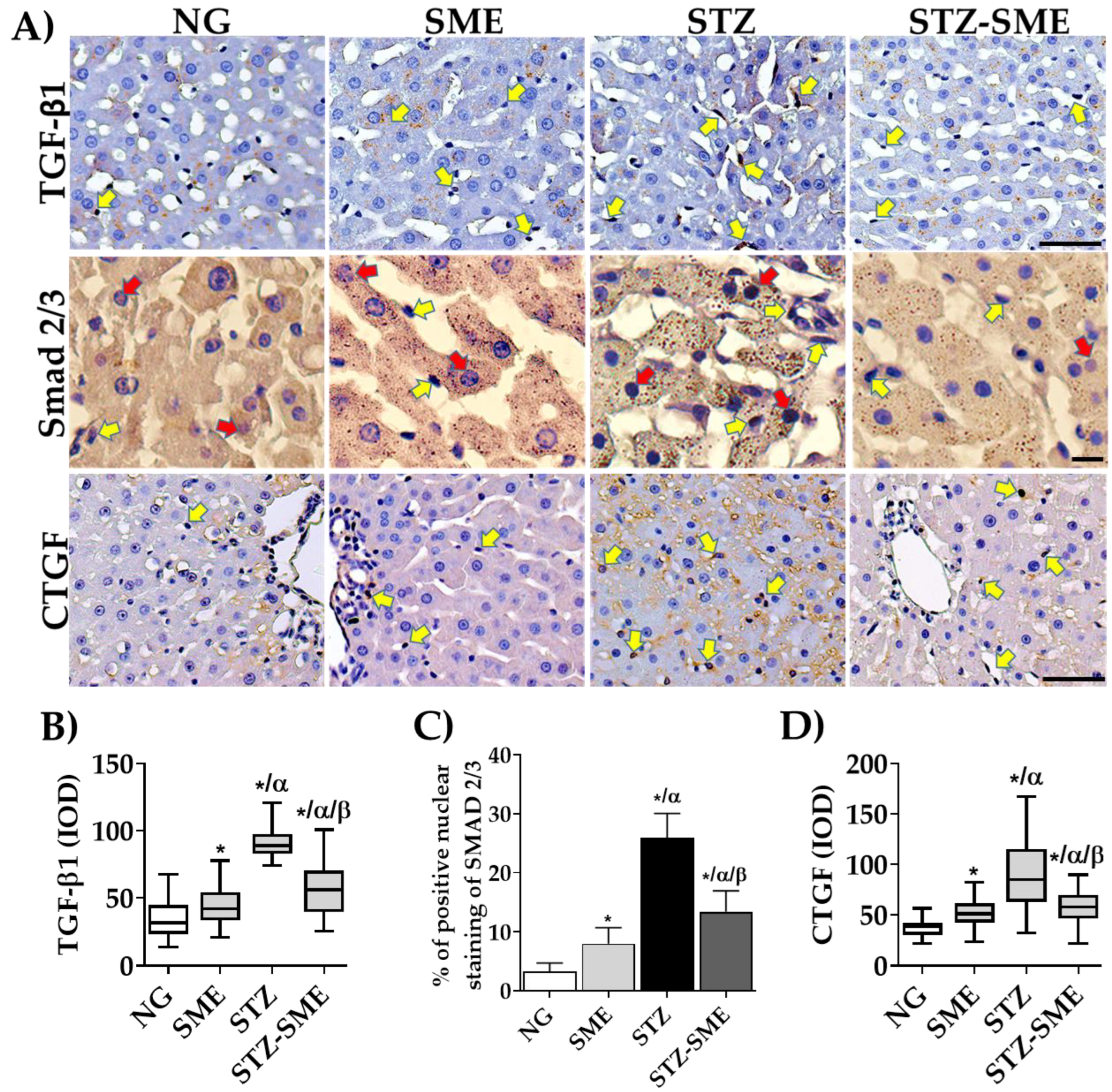Antioxidants 12 02013 g006