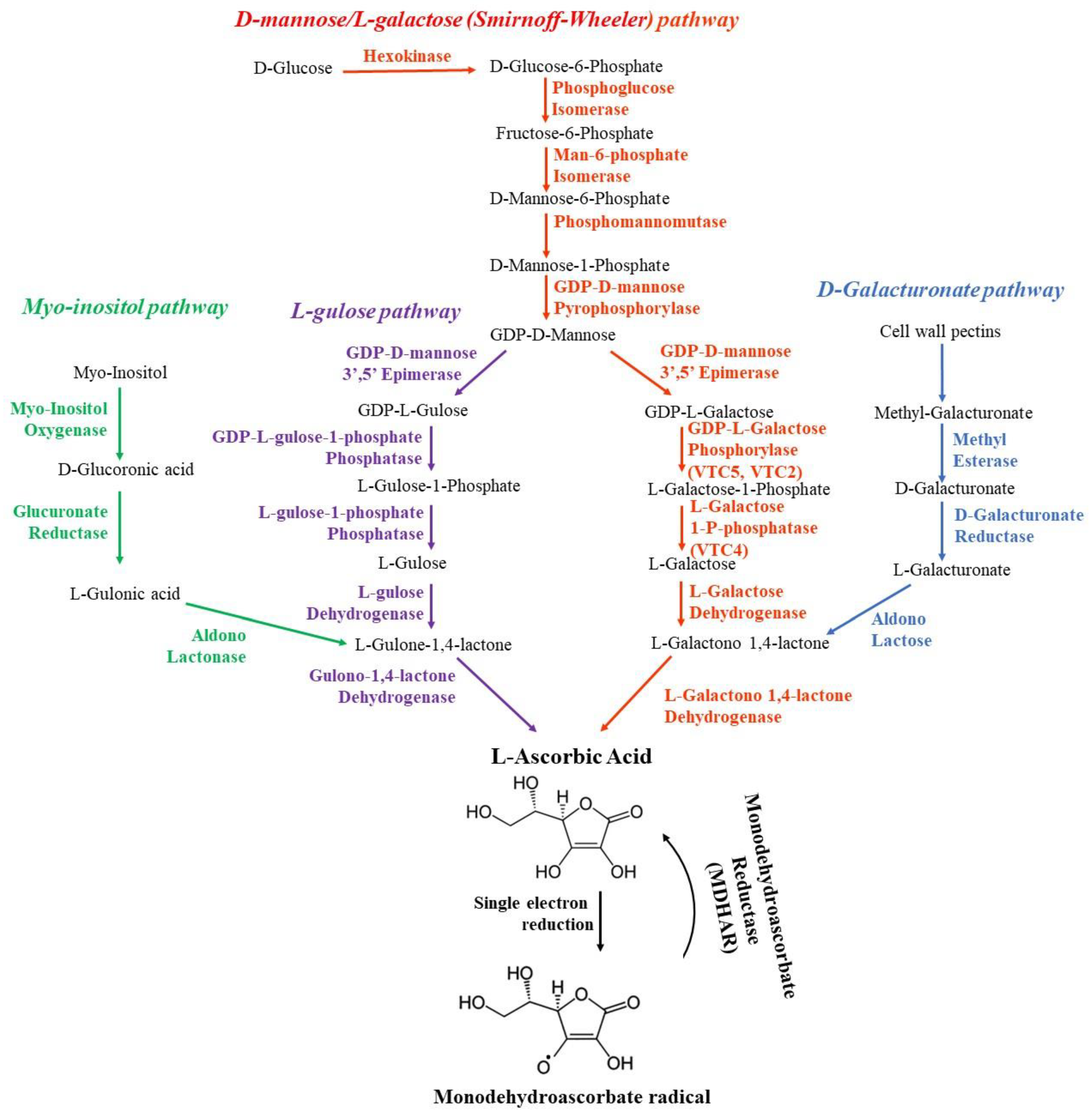 Antioxidants 12 02014 g005