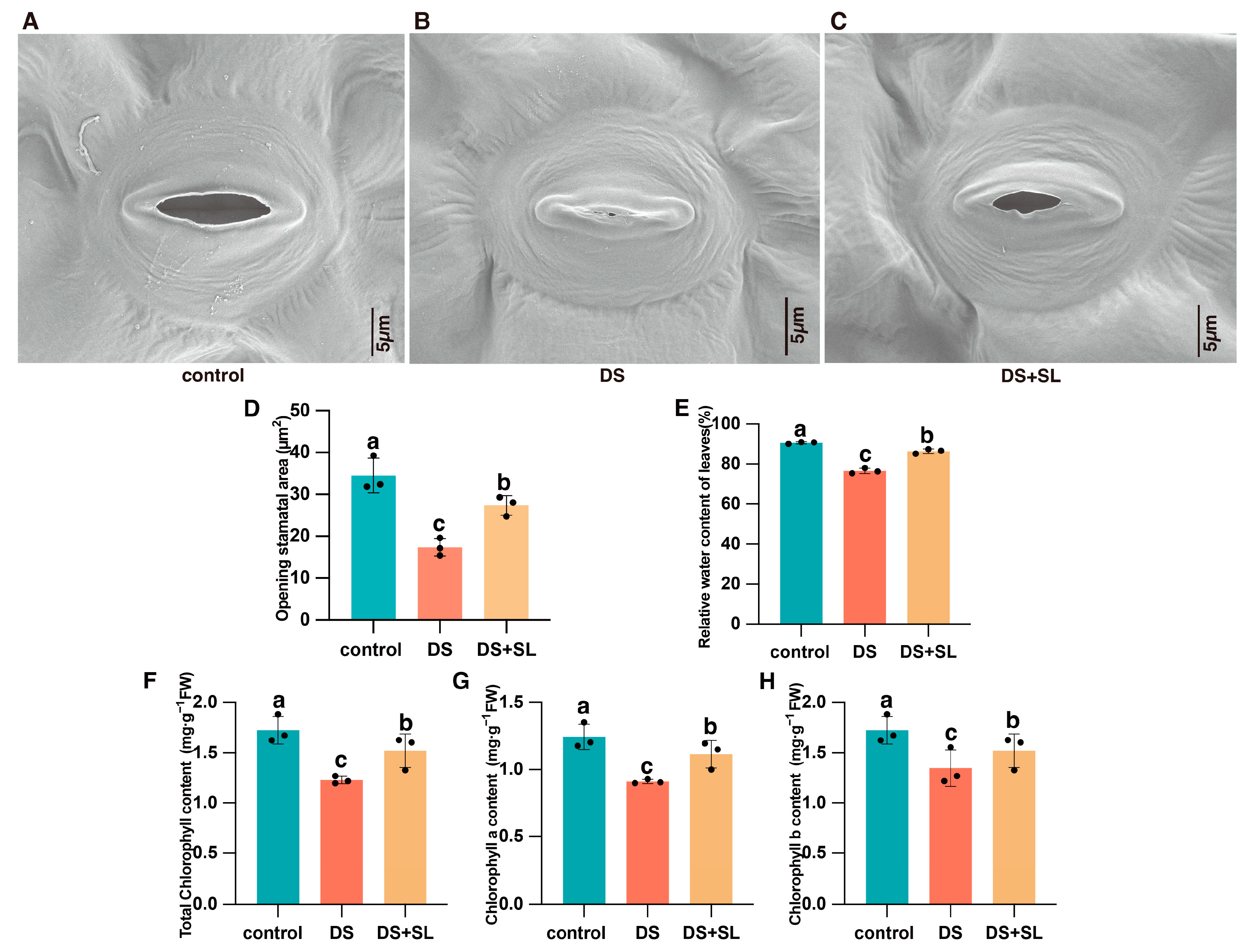 Antioxidants 12 02019 g002