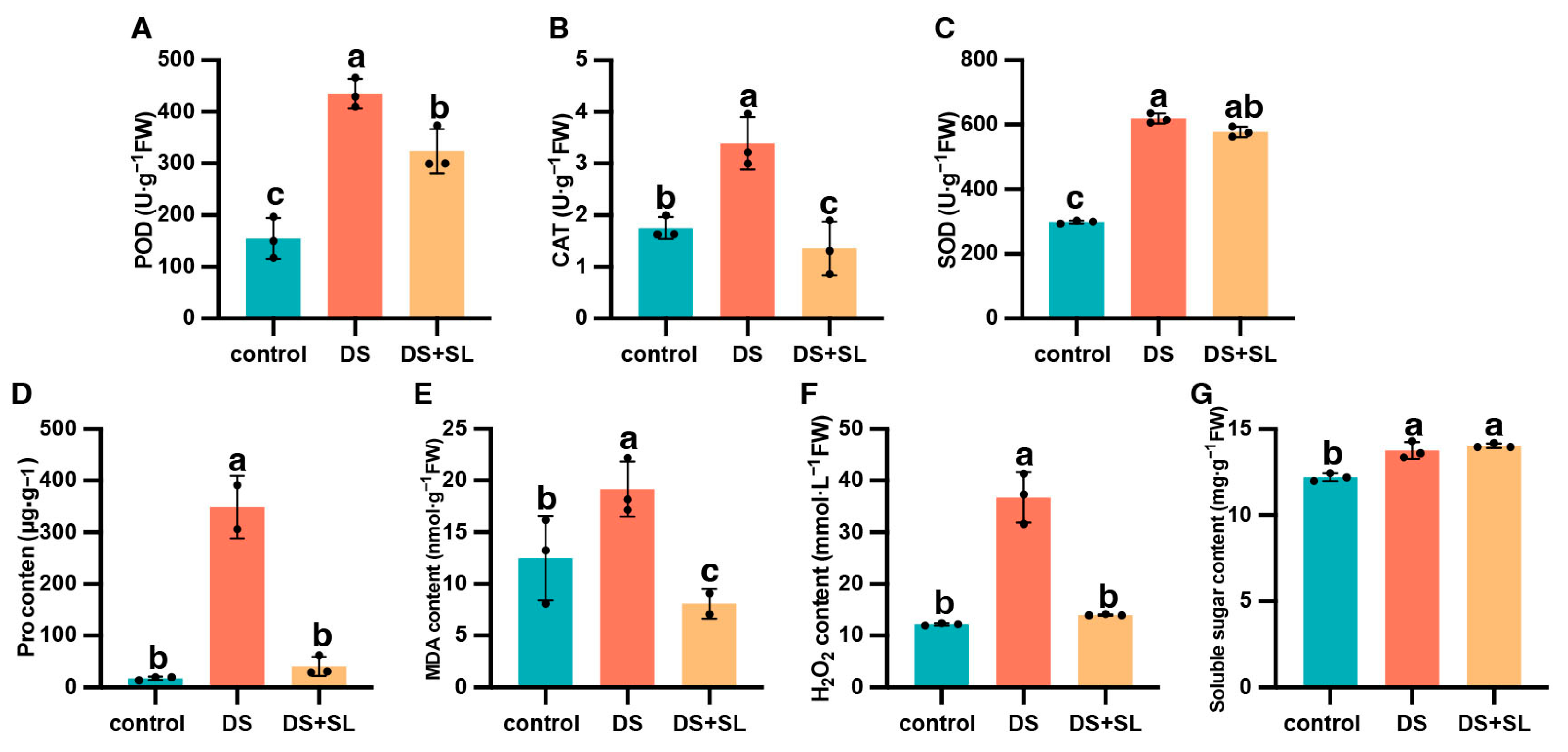 Antioxidants 12 02019 g003